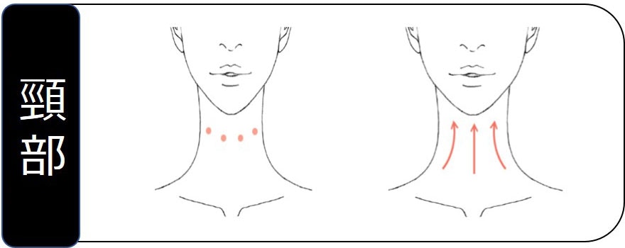 刮痧好處｜ 女生們要注意，頸部亦會顯老！（資生堂圖片）