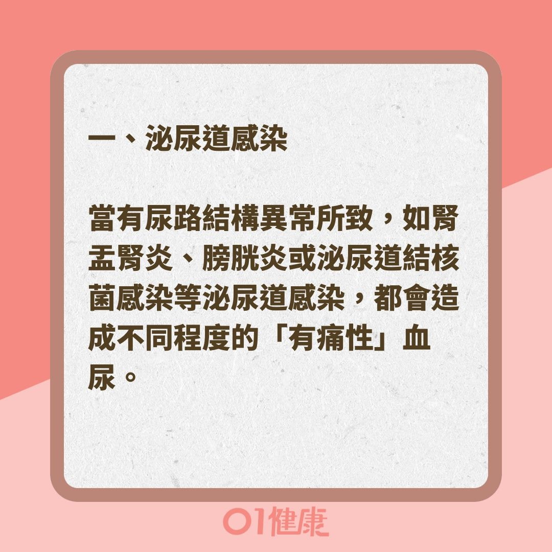 出現血尿可能是哪些疾病？（01製圖 ）