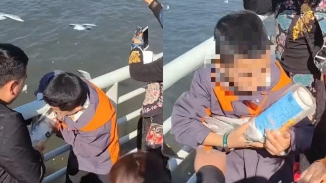 子不教父之過!昆明家長幫孩子捉海鷗塞瓶中 途人斥:把牠悶死了 子不教父之過!昆明家長幫孩子捉海鷗塞瓶中 途人斥:把牠悶死了