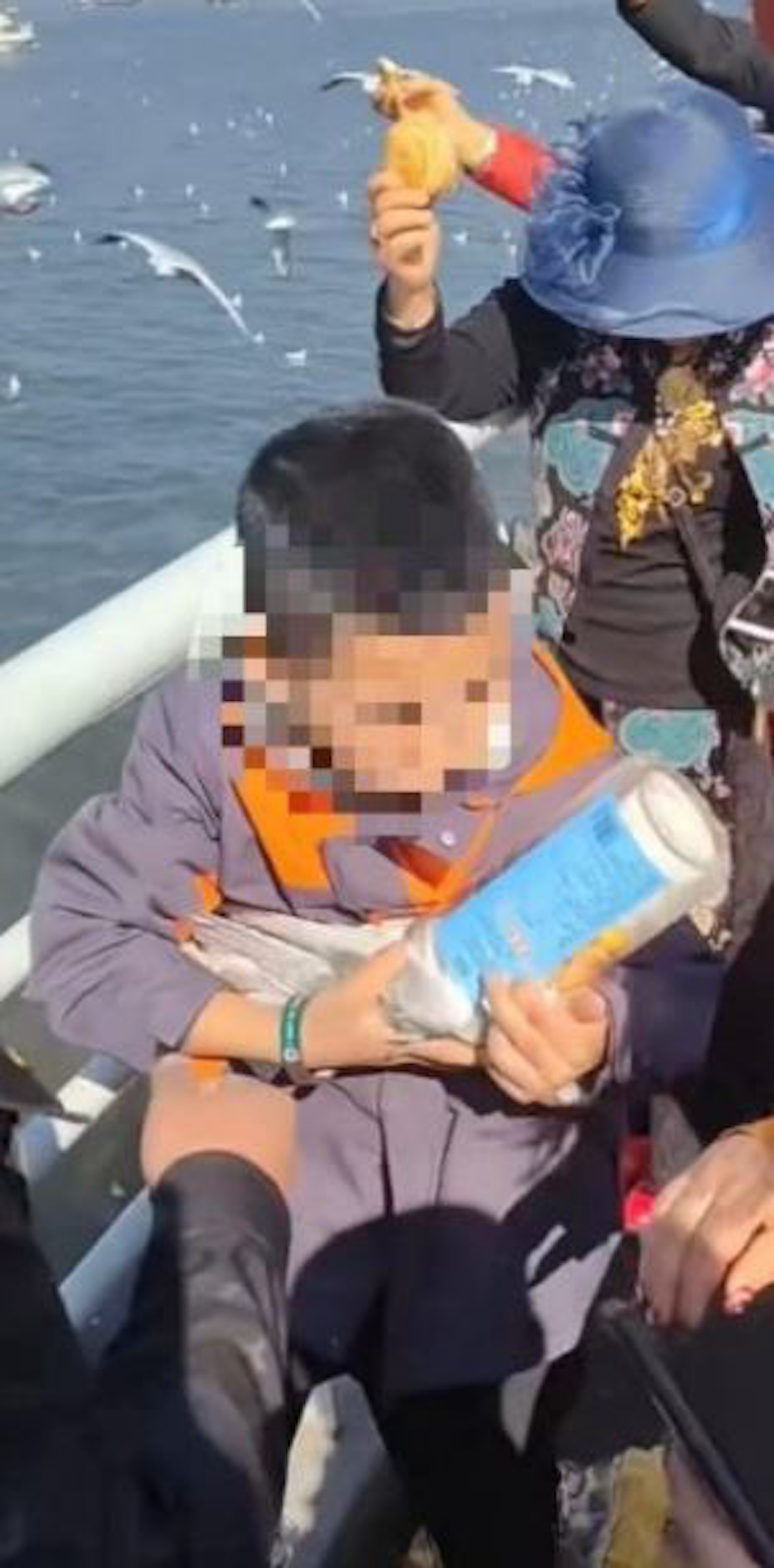 在海埂大壩,家長幫小孩把海鷗塞進狹窄的瓶子中欲帶走。(影片截圖) 在海埂大壩,家長幫小孩把海鷗塞進狹窄的瓶子中欲帶走。(影片截圖)