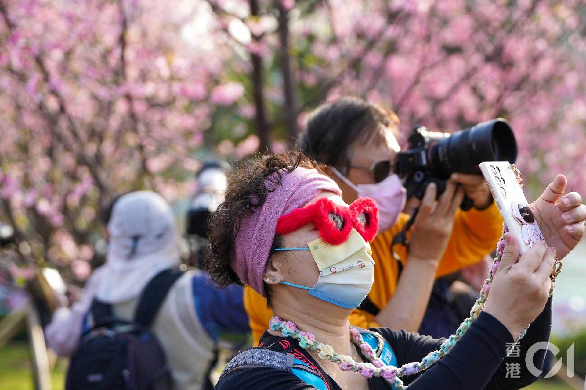 2月7日下午,東涌赤鱲角南路、觀景山的山腳一帶櫻花樹海,吸引近百名市民拍照打卡。(林靄怡攝) 2月7日下午,東涌赤鱲角南路、觀景山的山腳一帶櫻花樹海,吸引近百名市民拍照打卡。(林靄怡攝)