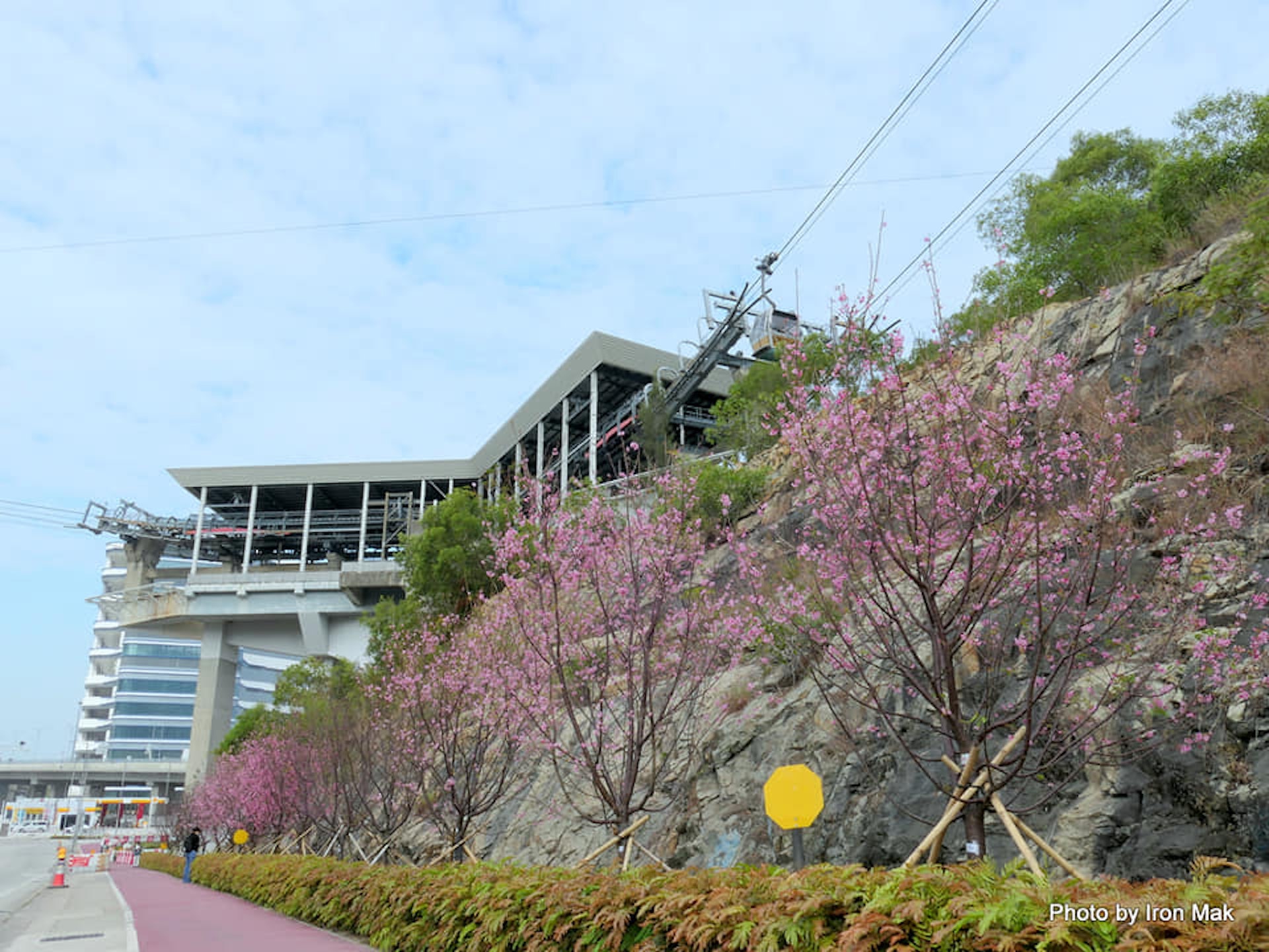 (圖片授權:FB@Chung Po Mak) (圖片授權:FB@Chung Po Mak)