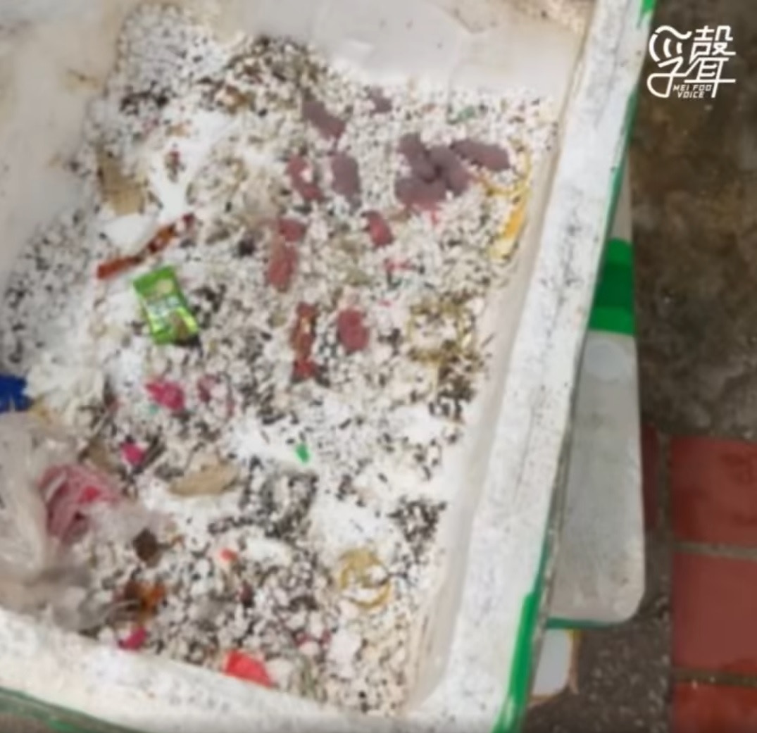 有美孚街坊發現當區一間菜檔的發泡膠箱中存活着至少10多隻初生老鼠，形容是「十級驚嚇」。（「孚聲」fb專頁影片截圖）