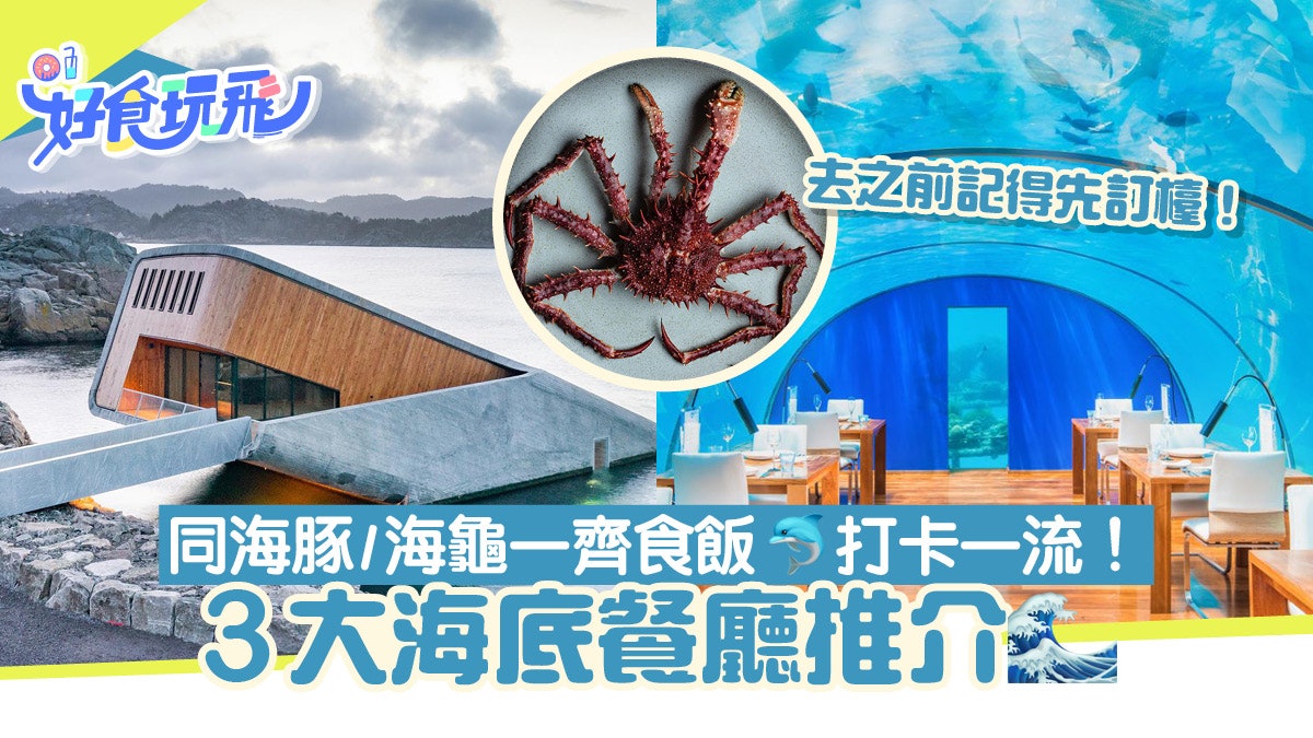 特色餐廳|3大海底餐廳推介!同海豚、海龜一齊食飯 打卡一流! 特色餐廳|3大海底餐廳推介!同海豚、海龜一齊食飯 打卡一流!