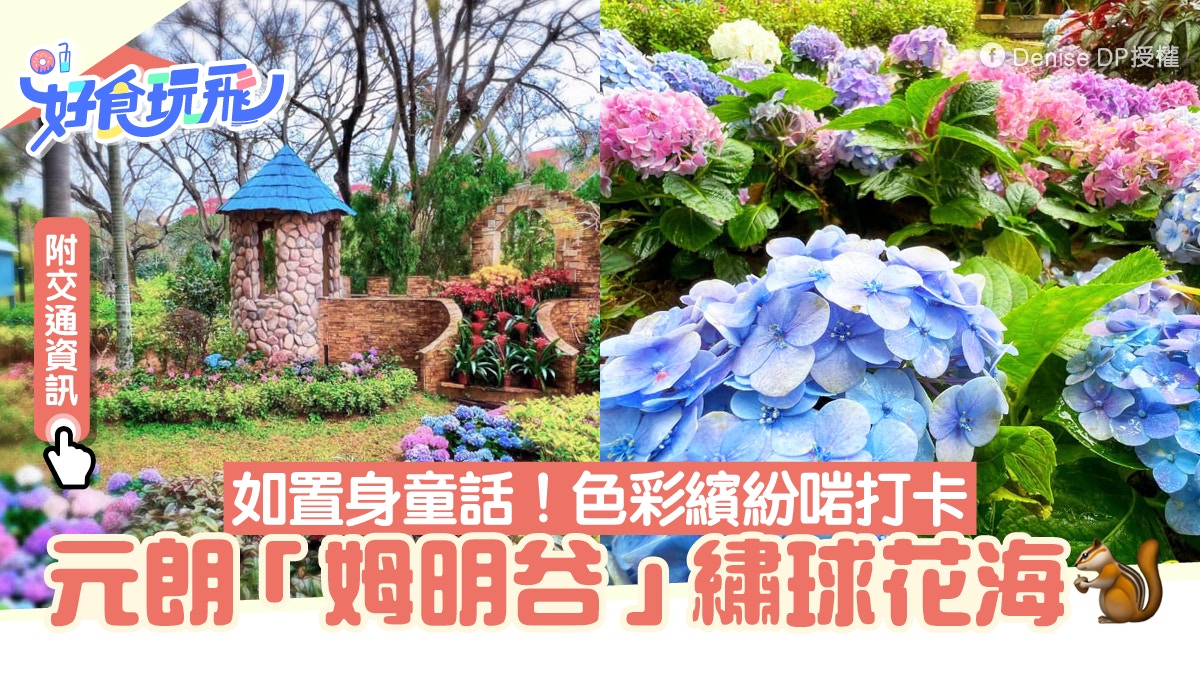 Yuen Long Hydrangea｜Moominvalley Hydrangea Sea in Yuen Long!Just like