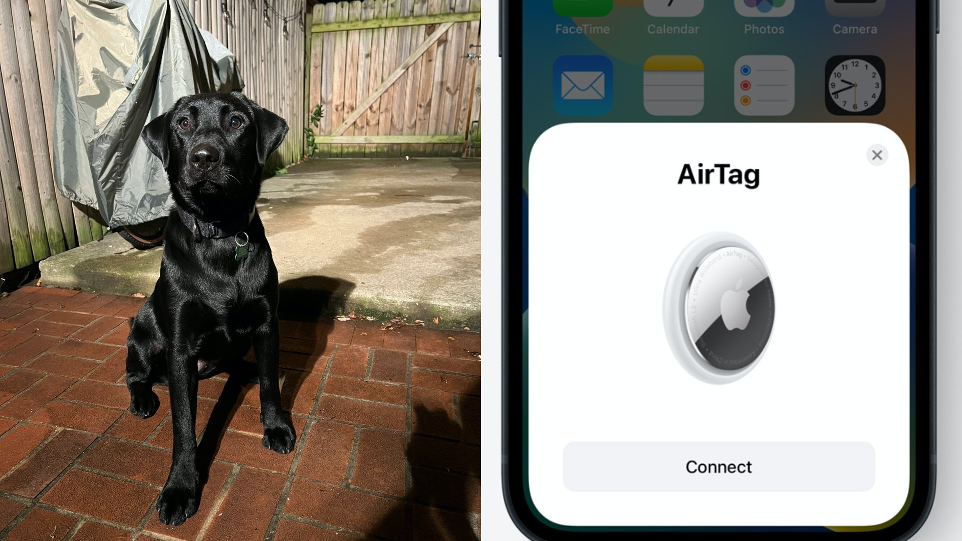 拉布拉多犬項圈AirTag突然神秘消失 急開定位聽到嗶嗶聲近在咫尺 拉布拉多犬項圈AirTag突然神秘消失 急開定位聽到嗶嗶聲近在咫尺