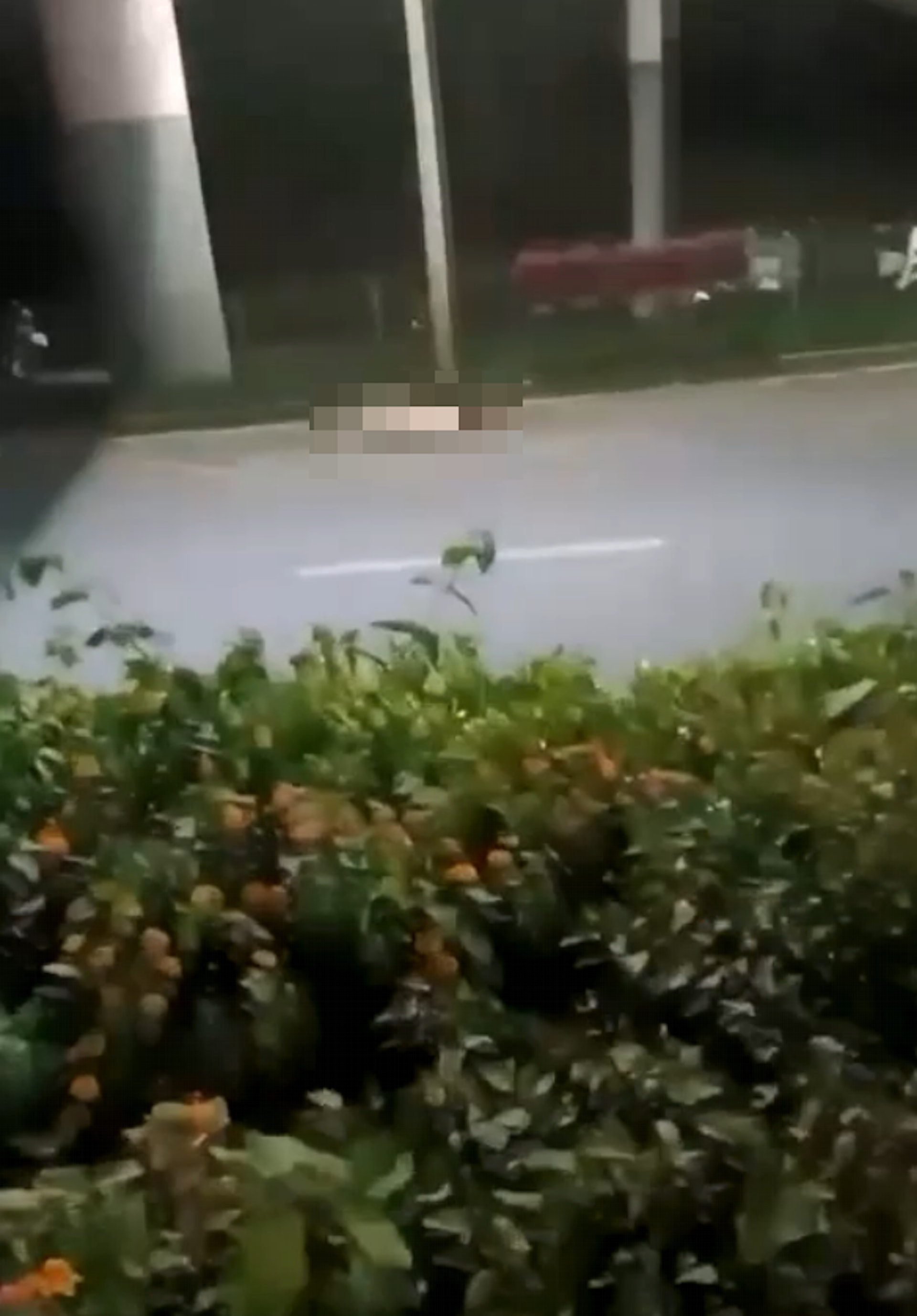 綜合陸媒報導,這段畫面於16日廣為流傳後掀起熱議。(影片截圖) 綜合陸媒報導,這段畫面於16日廣為流傳後掀起熱議。(影片截圖)