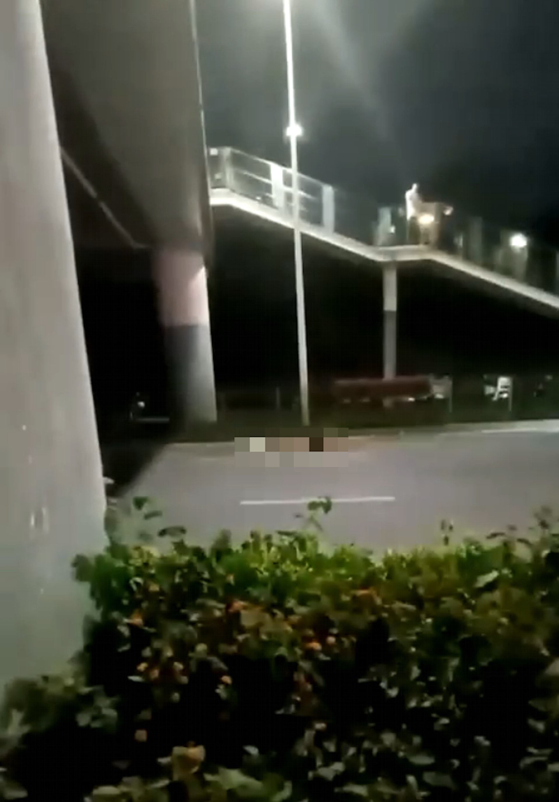 據悉時間大約是落在凌晨2時許,位於深圳龍華區深圳北站東廣場的一處天橋,一名女子被發現全裸倒在馬路上,疑似已經沒了生命跡象。(影片截圖) 據悉時間大約是落在凌晨2時許,位於深圳龍華區深圳北站東廣場的一處天橋,一名女子被發現全裸倒在馬路上,疑似已經沒了生命跡象。(影片截圖)