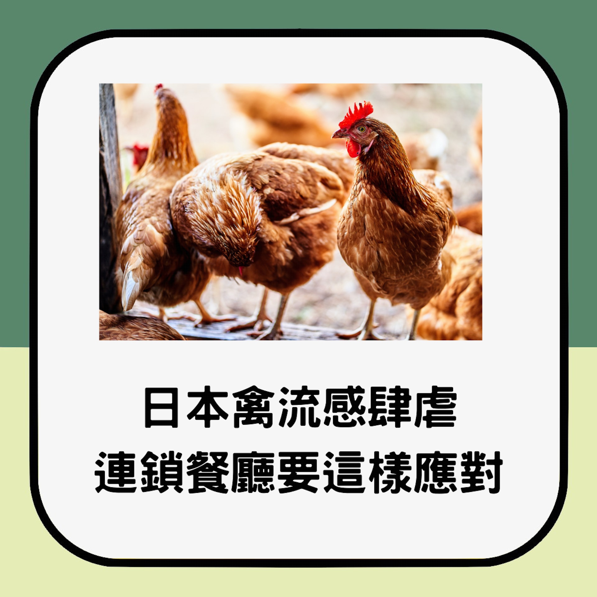 日本禽流感蔓延導致雞蛋供應短缺,多家連鎖餐廳麵店停止提供雞蛋。(01製圖;unsplash@henrique-s-ruzzon) 日本禽流感蔓延導致雞蛋供應短缺,多家連鎖餐廳麵店停止提供雞蛋。(01製圖;unsplash@henrique-s-ruzzon)