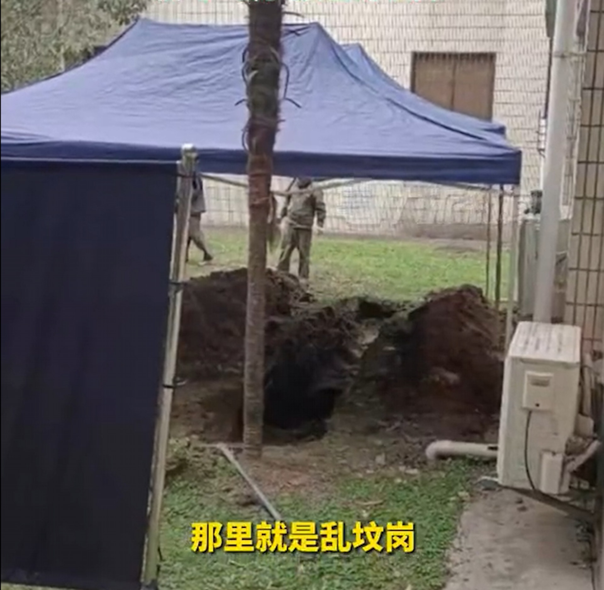 事發洞坑在一棟樓墻角處。(影片截圖) 事發洞坑在一棟樓墻角處。(影片截圖)