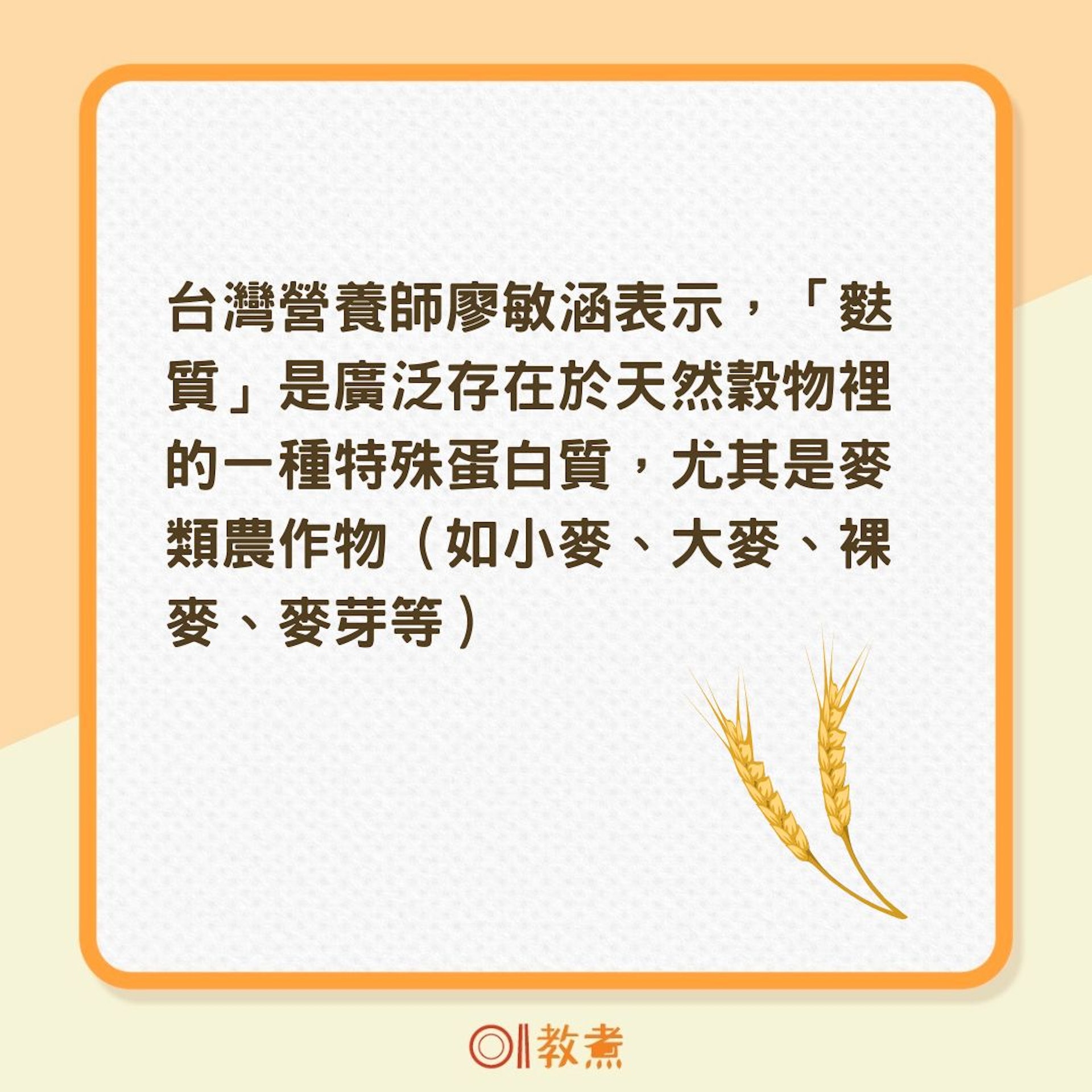 什麼是「麩質」?(01製圖) 什麼是「麩質」?(01製圖)