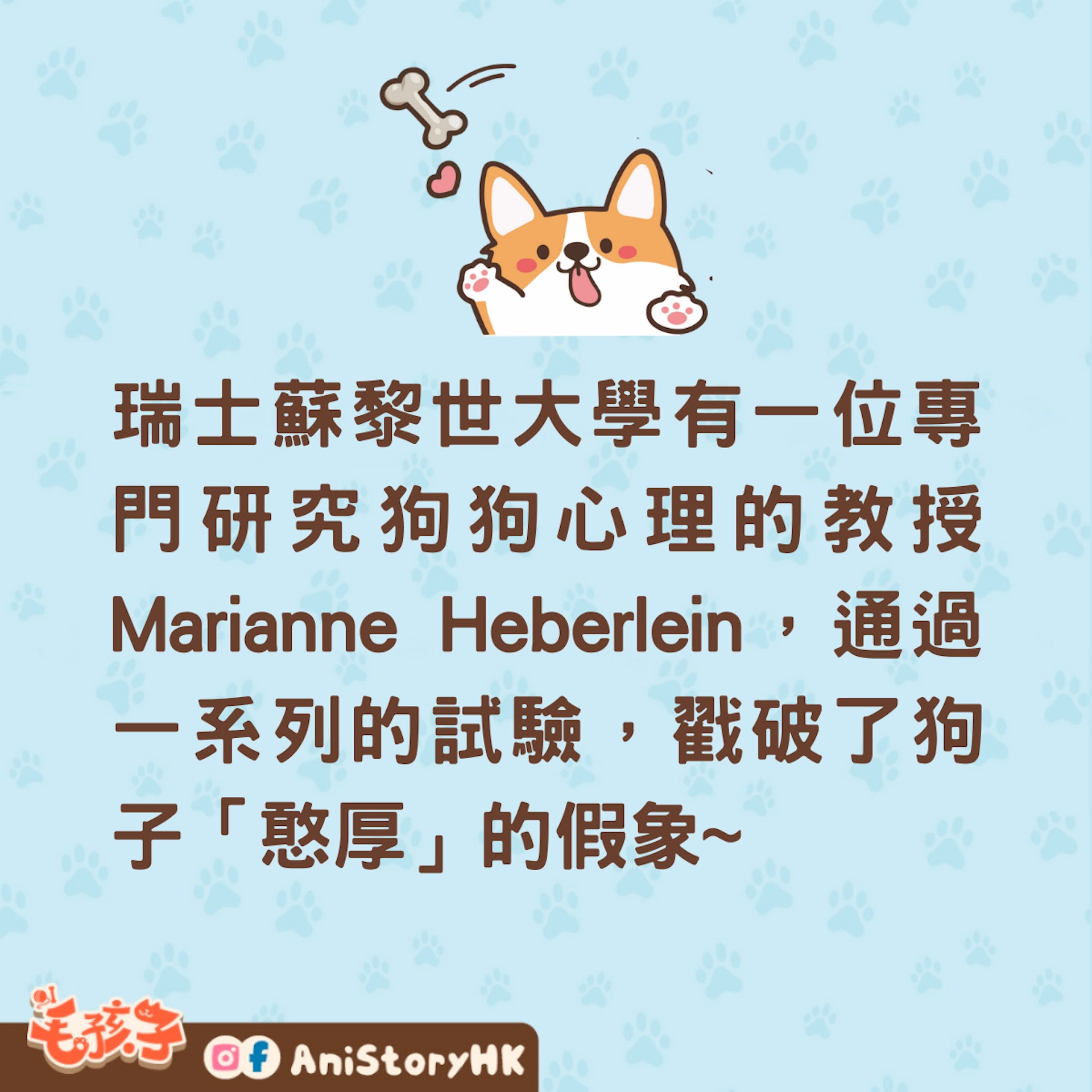 狗狗是否忠厚又老實?動物心理專家有一樣的看法!(01製圖) 狗狗是否忠厚又老實?動物心理專家有一樣的看法!(01製圖)
