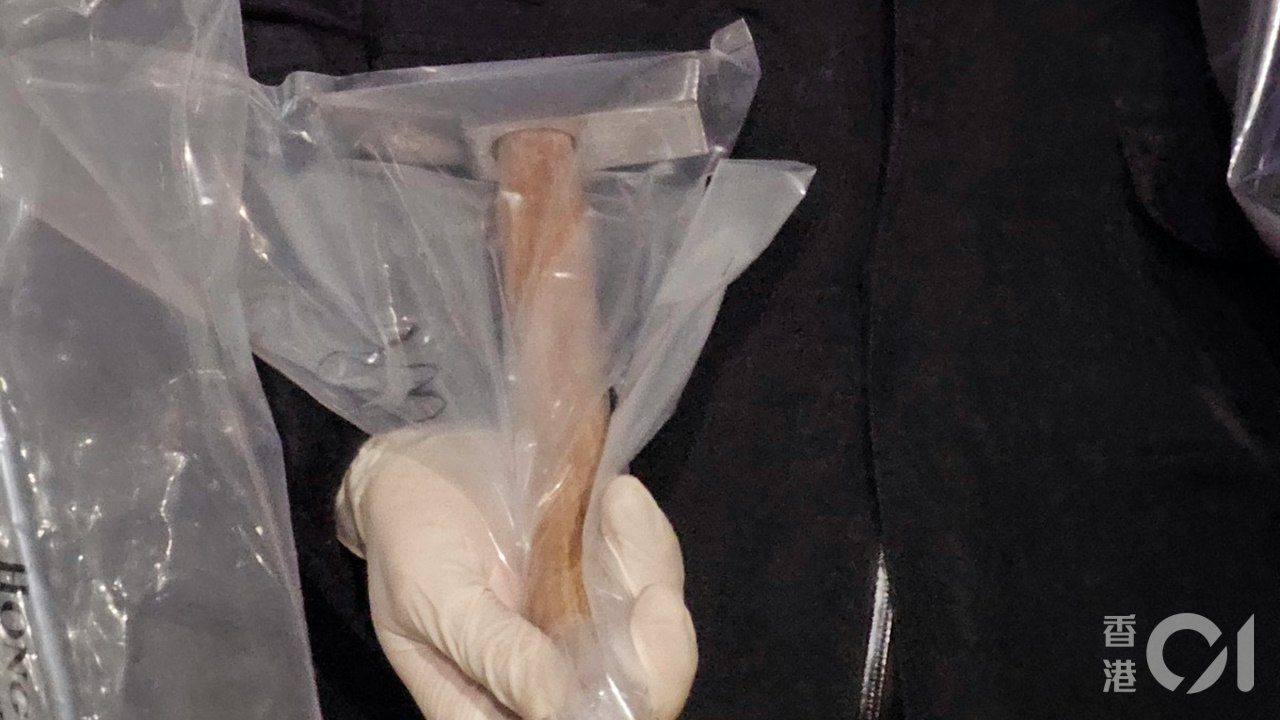 蔡天鳳案|辯方指鎚上無血及人體組織 警員稱無血不代表不涉罪行