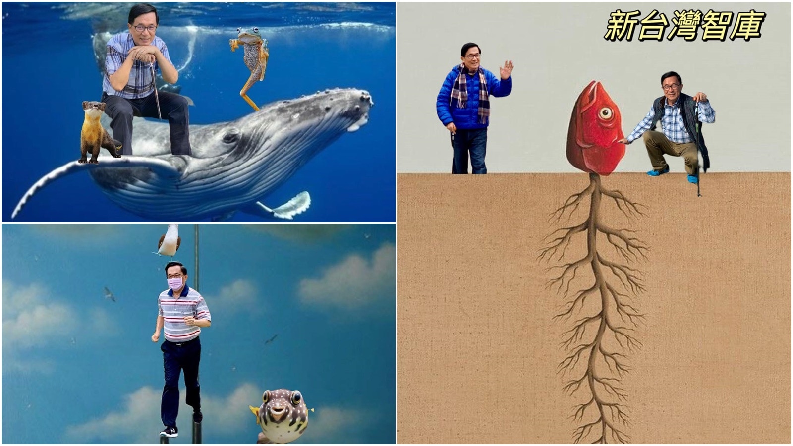 陳水扁自創Meme圖爆紅青蛙出鏡率高被指暗喻溫水煮蛙學者解讀