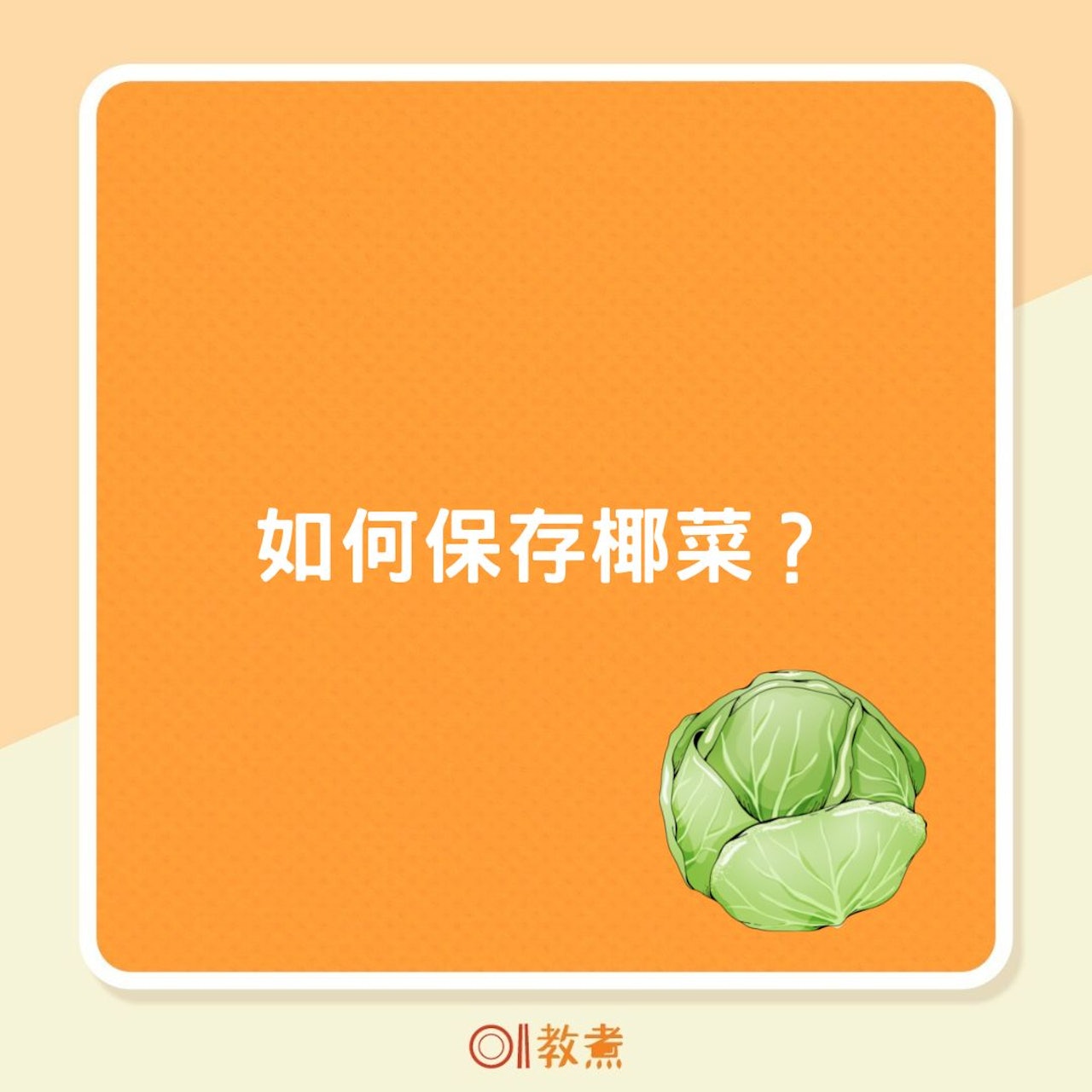 如何保存椰菜?(01製圖) 如何保存椰菜?(01製圖)