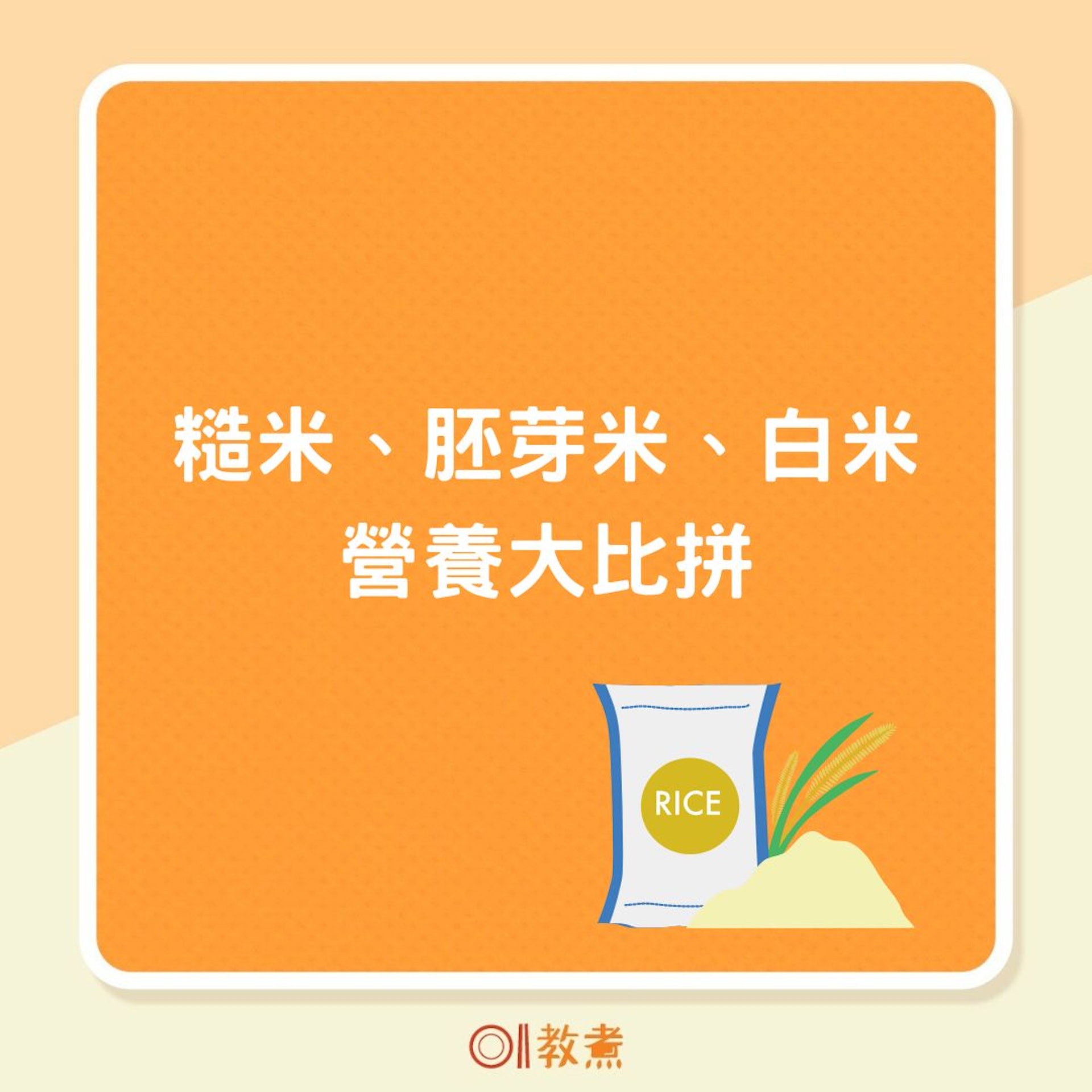 糙米、胚芽米、白米營養大比拼(01製圖) 糙米、胚芽米、白米營養大比拼(01製圖)