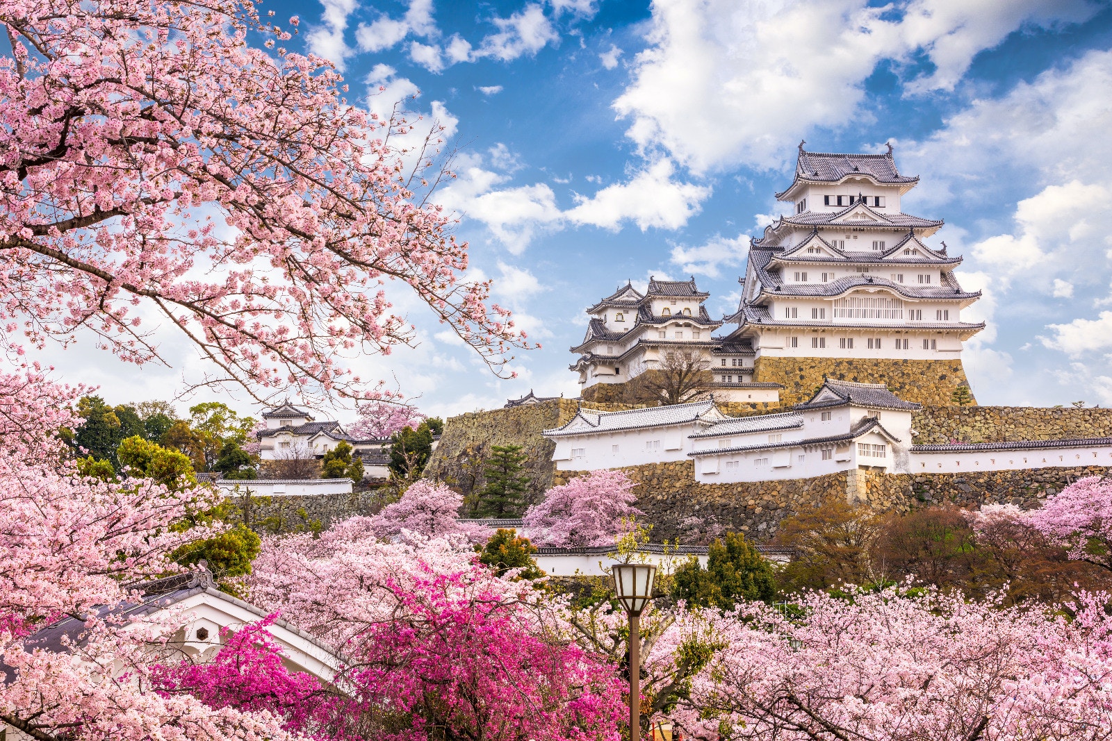 Easter｜Cherry Blossoms Tour Fee 16,000 Flights Limited Stop Registration Customers Just Want