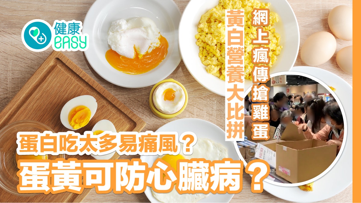 雞蛋營養|蛋白吃太多易痛風?蛋黃可防心臟病?黃白營養大比拼 雞蛋營養|蛋白吃太多易痛風?蛋黃可防心臟病?黃白營養大比拼