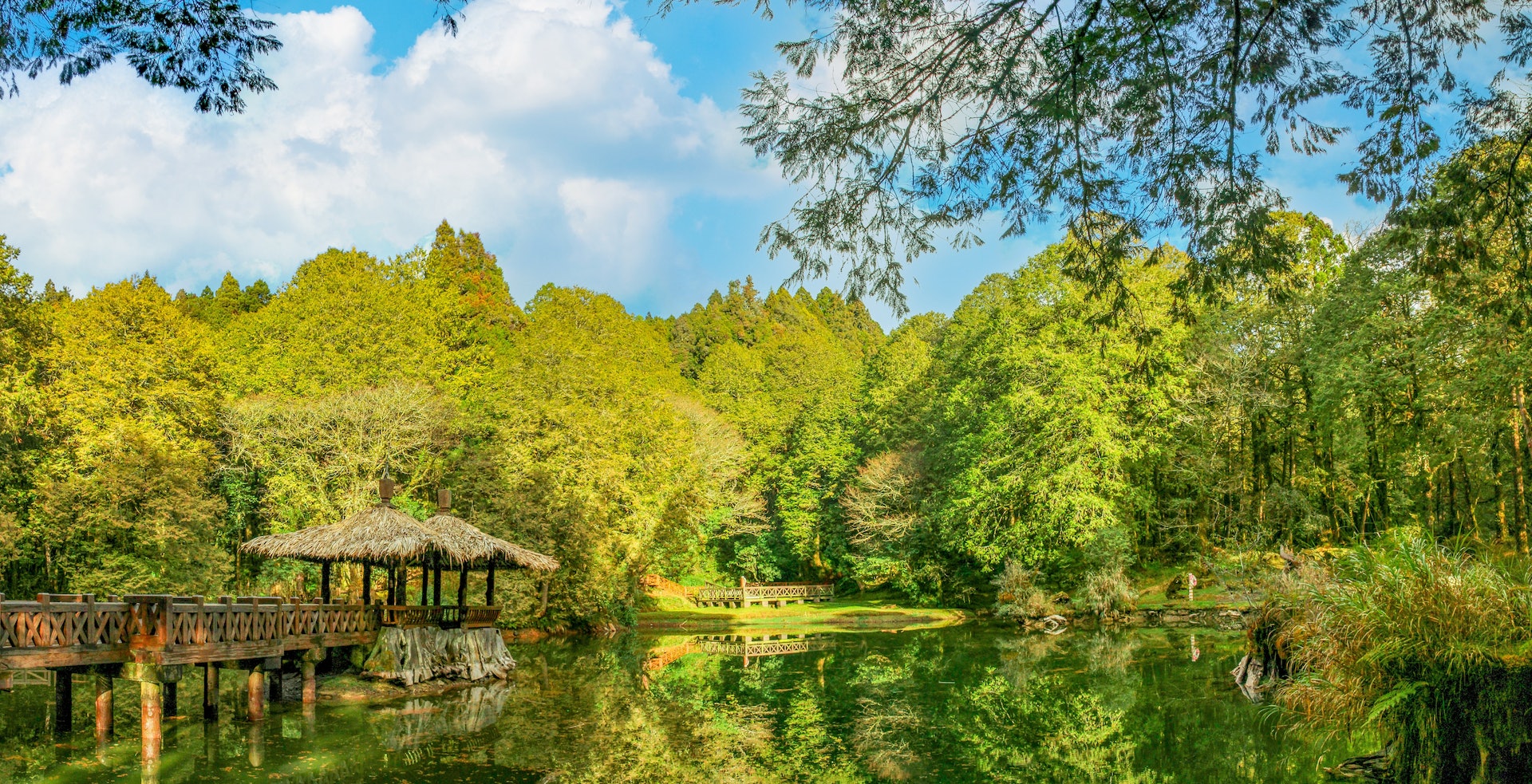 示意圖(ricky-lk/unsplash) 示意圖(ricky-lk/unsplash)