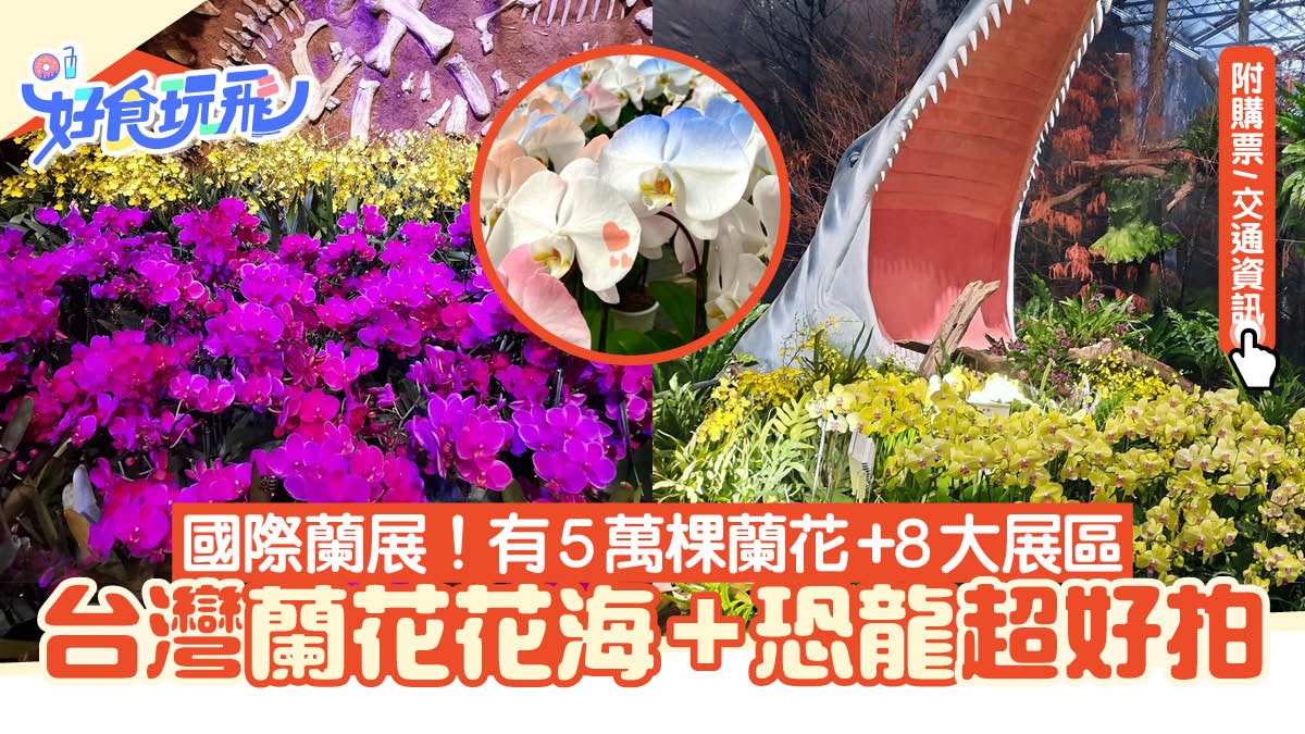 台灣蘭花花海+恐龍超好拍!國際蘭展!有5萬棵蘭花+8大展區 台灣蘭花花海+恐龍超好拍!國際蘭展!有5萬棵蘭花+8大展區
