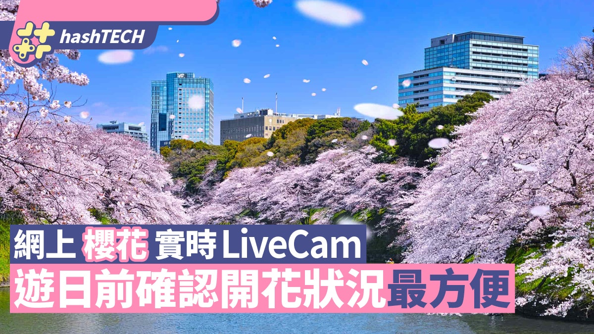 網上櫻花實時LiveCam 遊日前確認開花狀況最方便 附最新花期預測 網上櫻花實時LiveCam 遊日前確認開花狀況最方便 附最新花期預測