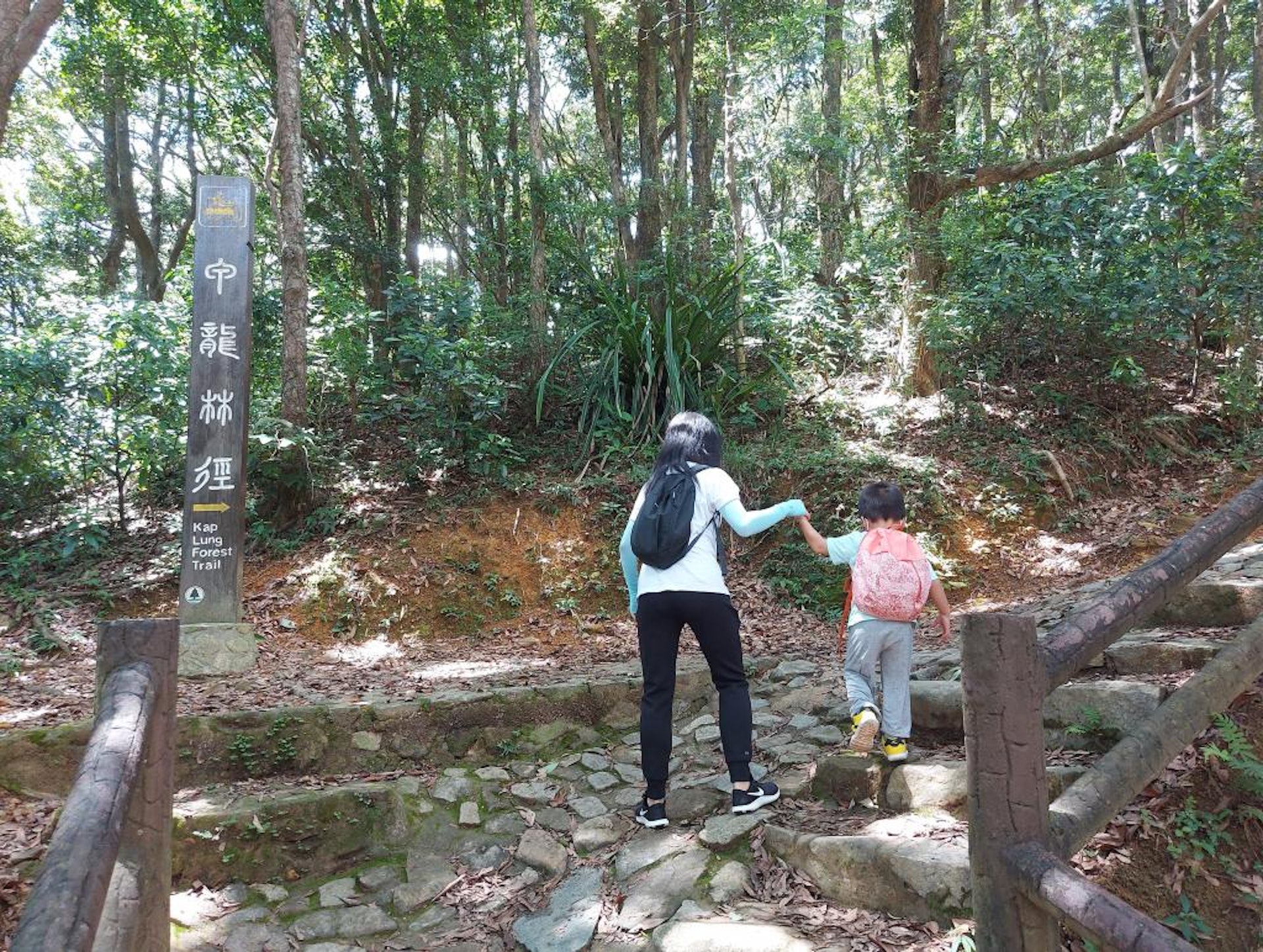 在荃灣乘巴士51號於大帽山郊野公園站落車,往上走便看見入口。(雞丁暟遊天下授權使用) 在荃灣乘巴士51號於大帽山郊野公園站落車,往上走便看見入口。(雞丁暟遊天下授權使用)