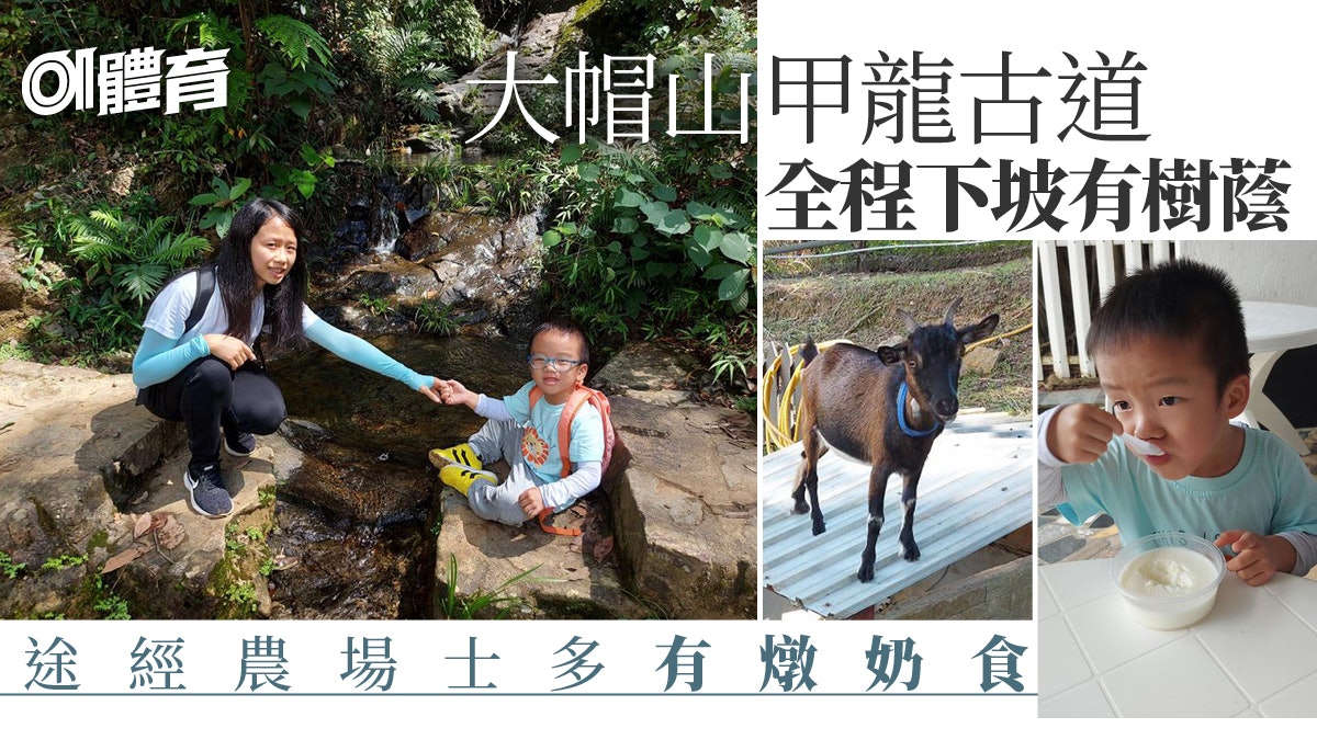荃灣行山|漫步甲龍古道石澗流水清澈 訪雷公田農場歎燉奶餵羊仔 荃灣行山|漫步甲龍古道石澗流水清澈 訪雷公田農場歎燉奶餵羊仔