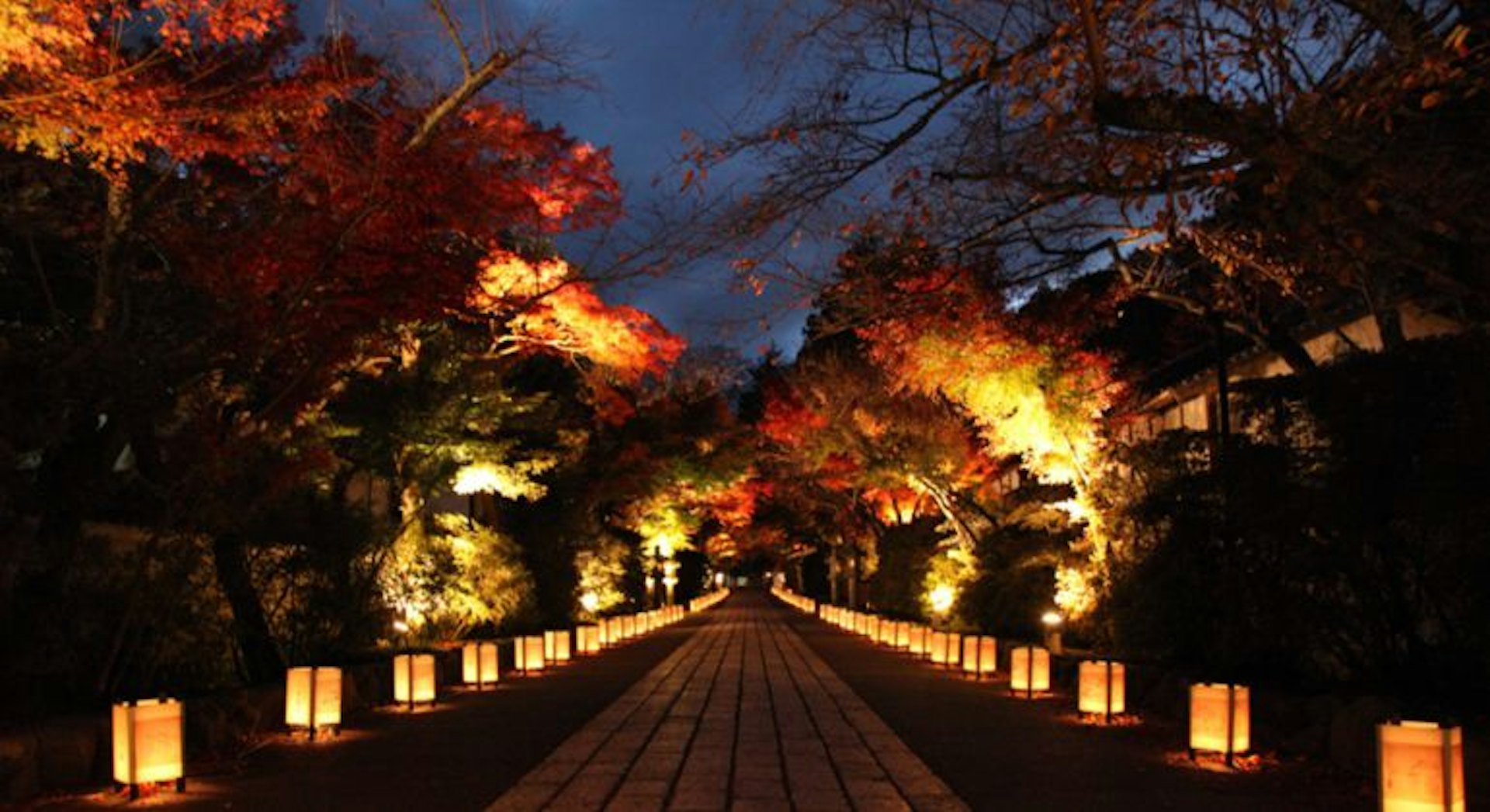 石山寺特別推薦在秋季來賞紅葉,夢幻的紅葉配上日式建築,非常優美。(石山寺官網) 石山寺特別推薦在秋季來賞紅葉,夢幻的紅葉配上日式建築,非常優美。(石山寺官網)