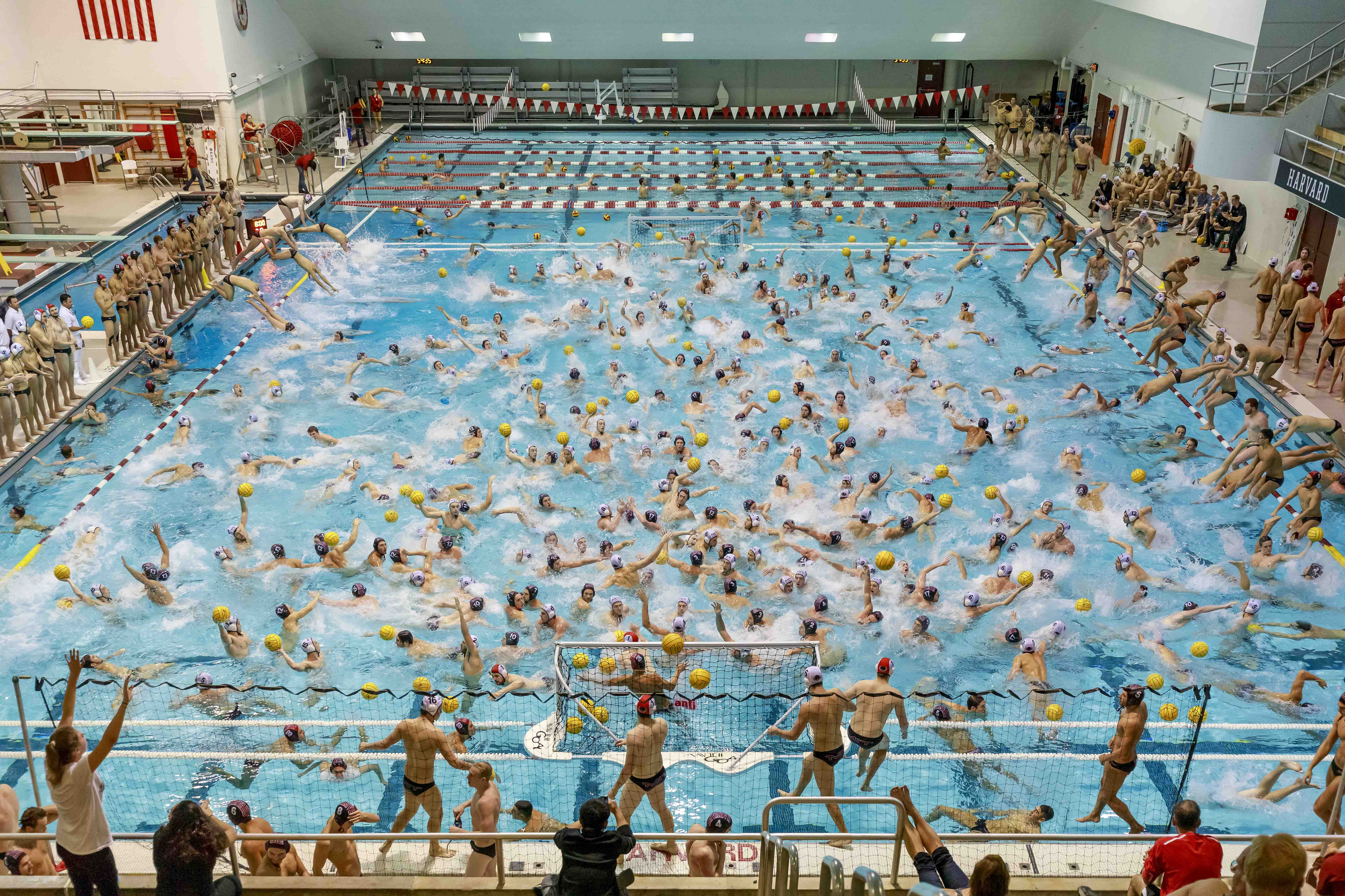 Men's Water Polo at Harvard University 
Pelle Cass（圖片由海港城提供）