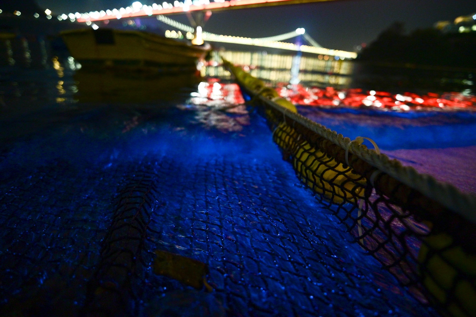 汀九泳灘再出現由紅潮夜光藻引起的「藍眼淚」，圖為在3月11日晚上早段拍攝。（Zenok Lee攝／Facebook專頁香港風景攝影會圖片)