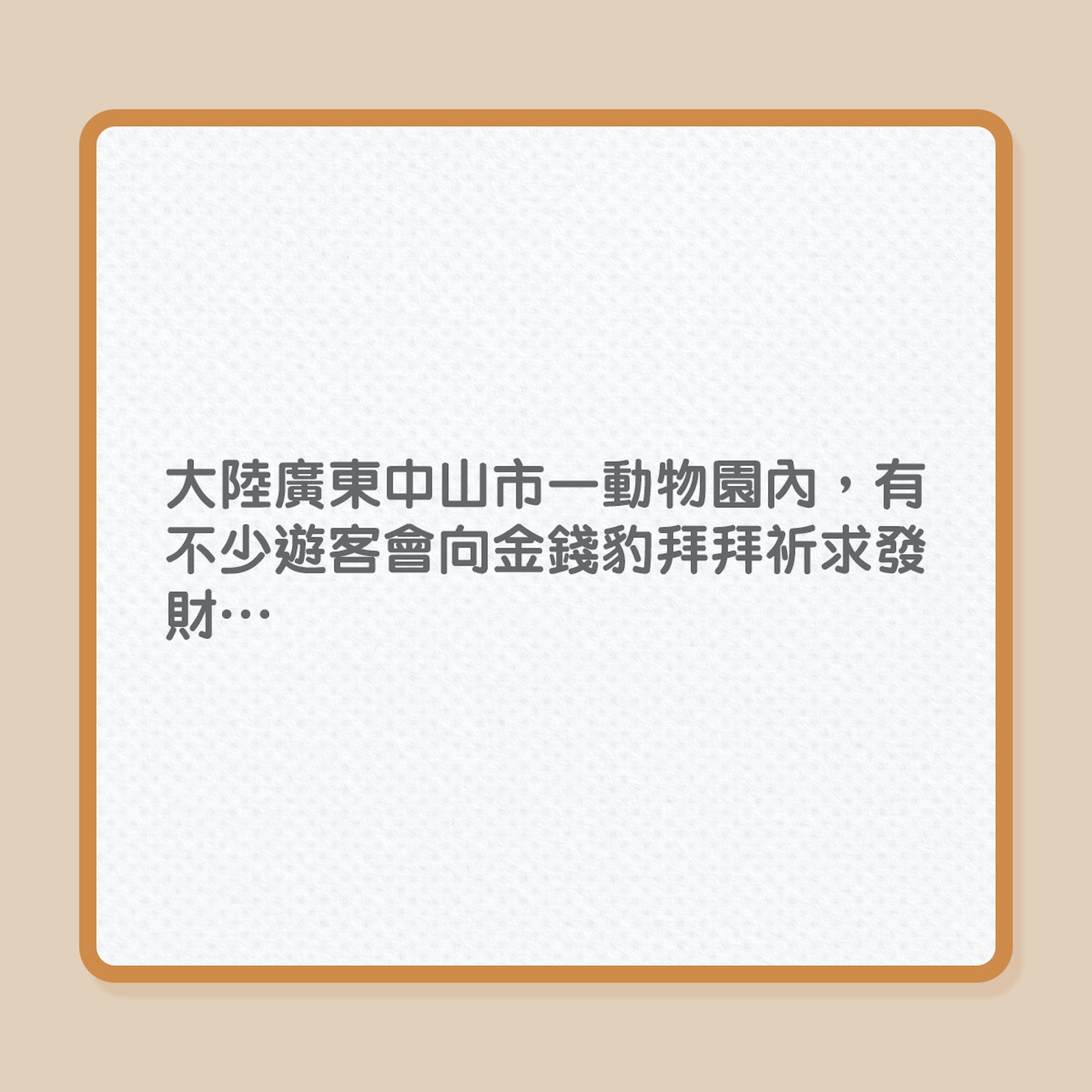 動物園金錢豹,竟懂哏人回拜!(01製圖) 動物園金錢豹,竟懂哏人回拜!(01製圖)
