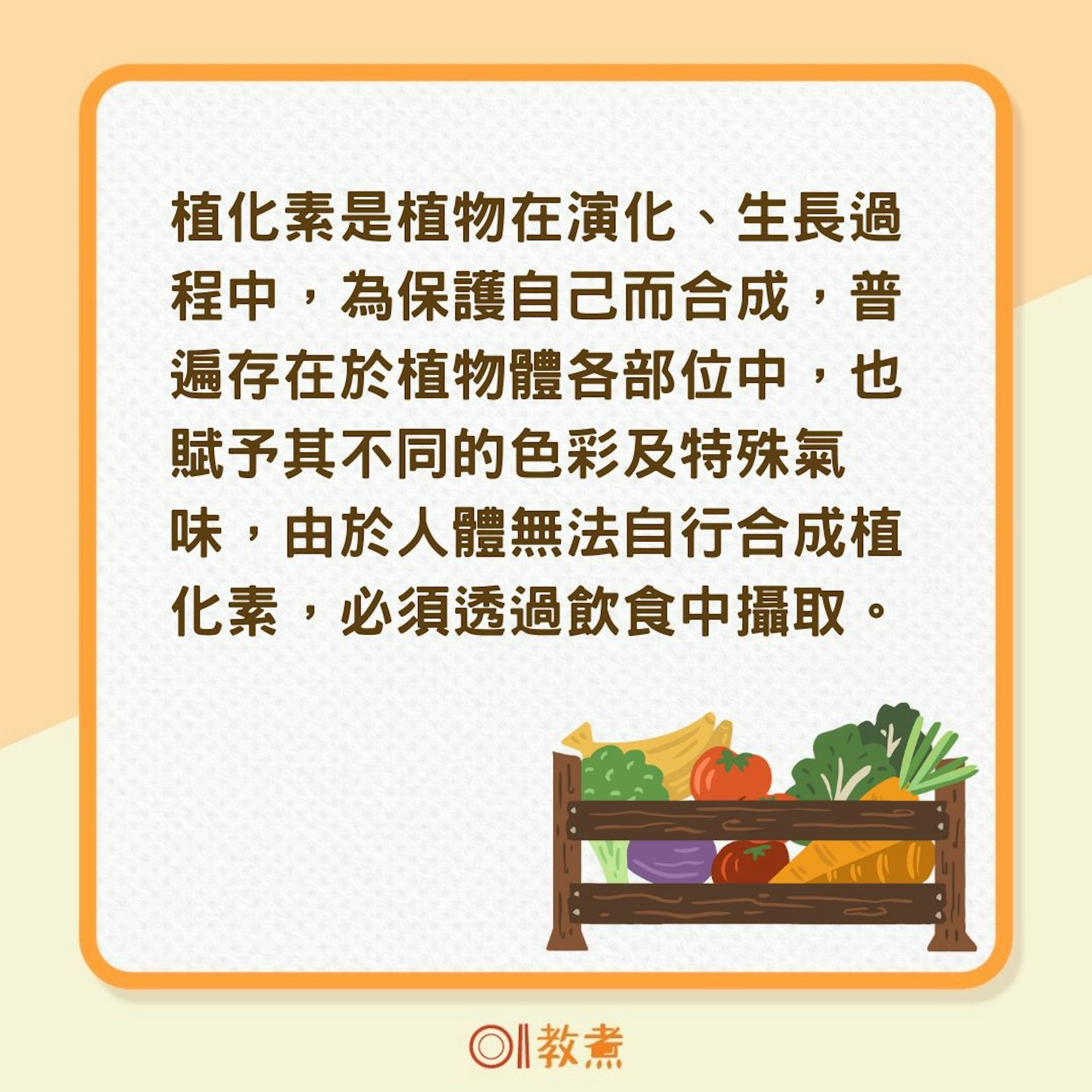 蔬果要怎麼吃?(01製圖) 蔬果要怎麼吃?(01製圖)
