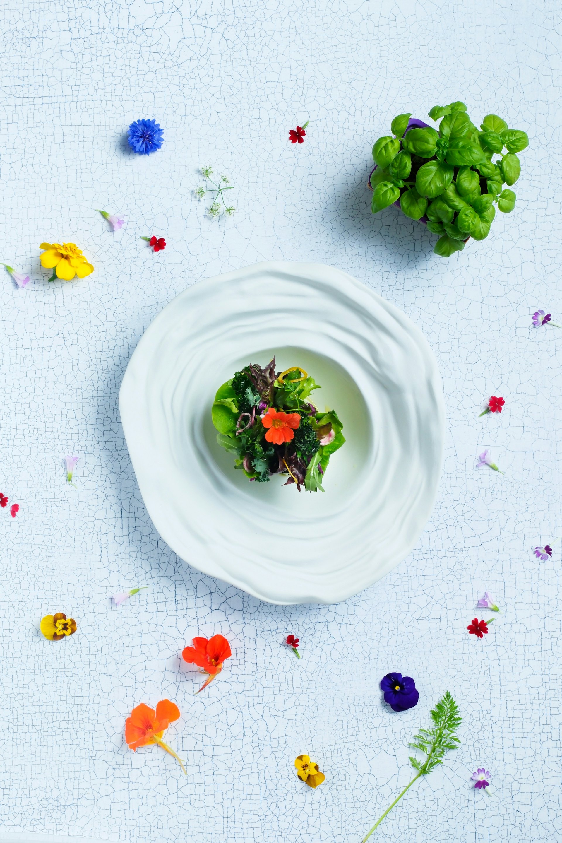 (圖片來源:香港嘉里酒店) (圖片來源:香港嘉里酒店)