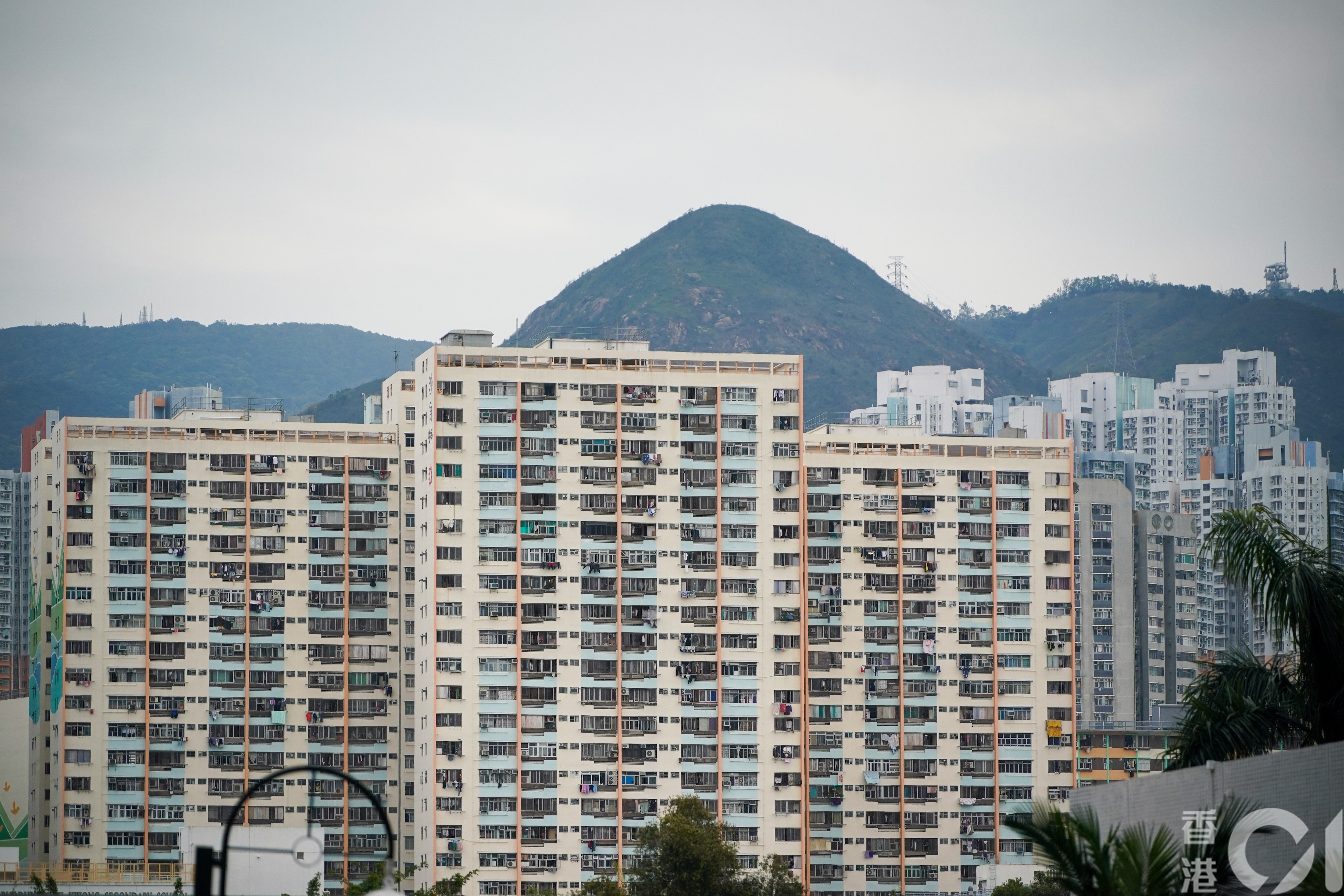 檢討綠表機制　謝偉俊倡引AI查住戶資產：偷公共資源無資格講私隱