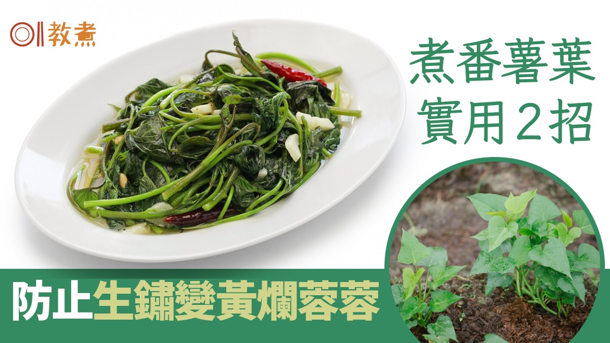 炒菜貼士｜炒番薯葉防生鏽2招汆燙加1物免變黃　點揀新鮮番薯葉？