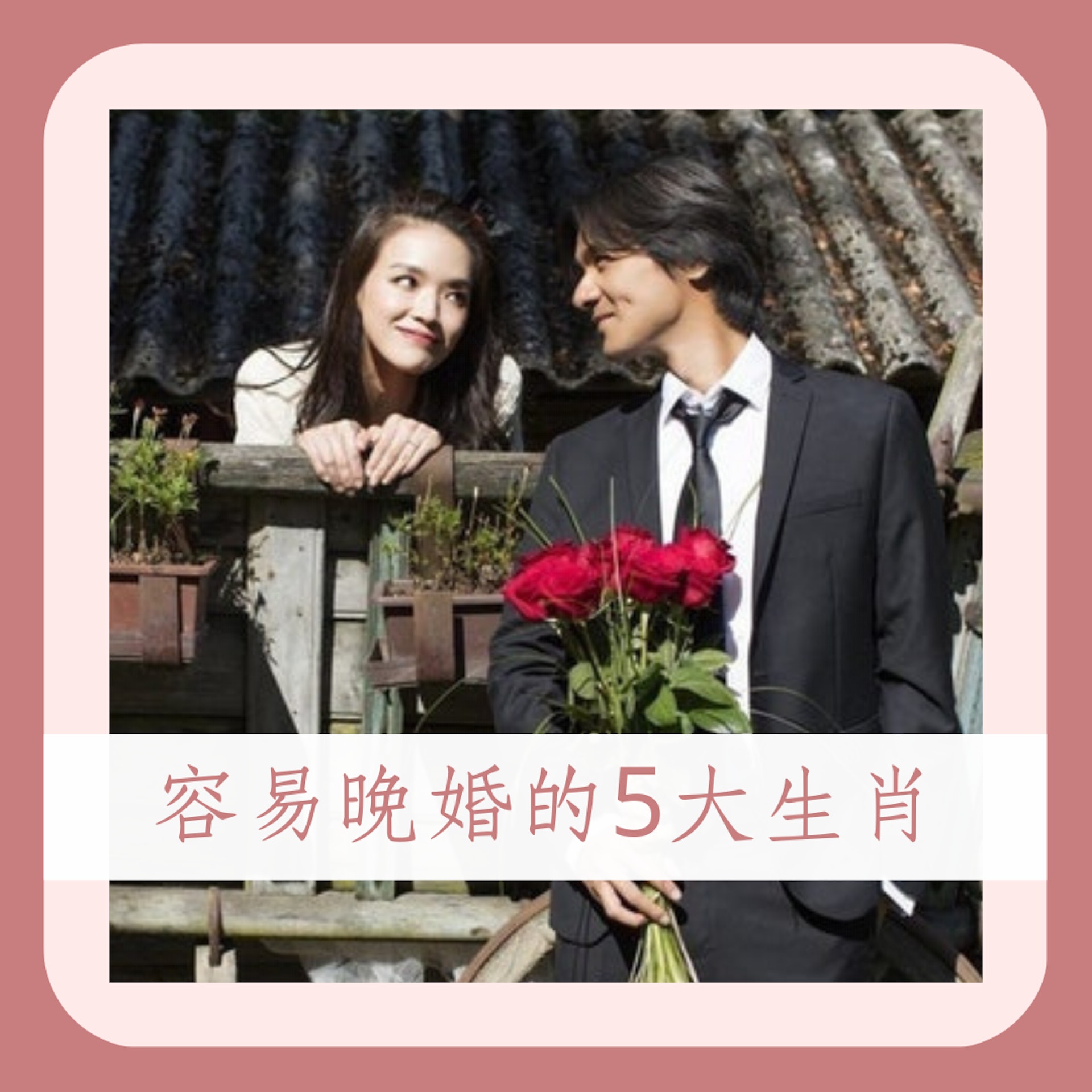 容易晚婚的5大生肖(IG@sqwhat;01製圖) 容易晚婚的5大生肖(IG@sqwhat;01製圖)