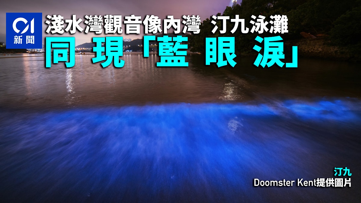 紅潮藍眼淚|淺水灣觀音像內灣都有藍色海浪 汀九泳灘現螢光藍 紅潮藍眼淚|淺水灣觀音像內灣都有藍色海浪 汀九泳灘現螢光藍