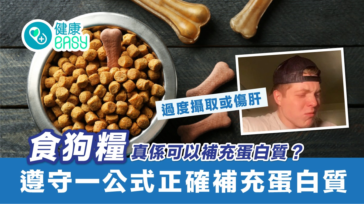 蛋白質|健身網紅食狗糧只為獲蛋白質?蛋白質攝取過多或傷肝 蛋白質|健身網紅食狗糧只為獲蛋白質?蛋白質攝取過多或傷肝