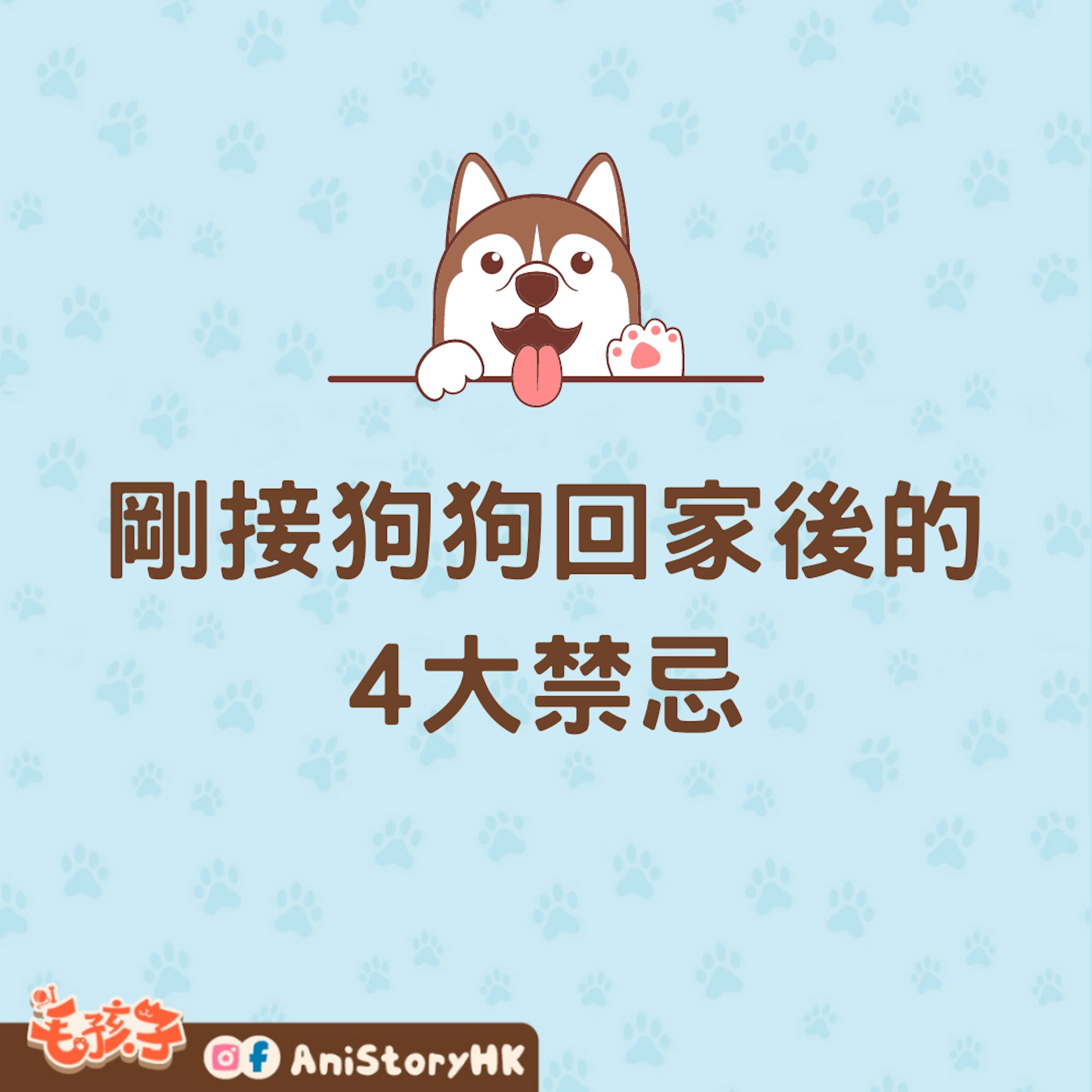 剛接狗狗回家後的4大禁忌(01製圖) 剛接狗狗回家後的4大禁忌(01製圖)