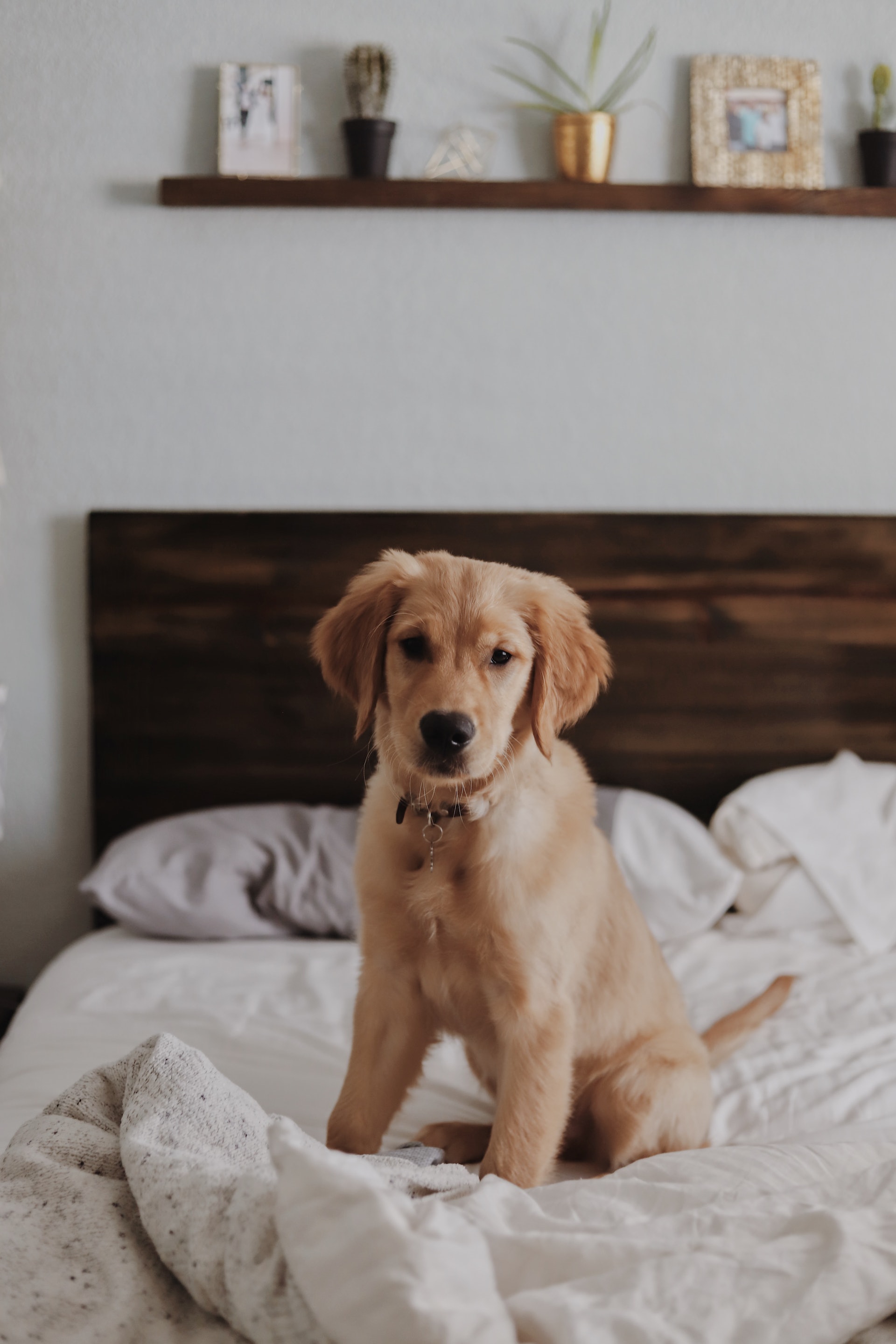 (圖: Amy Humphries/unsplash) (圖: Amy Humphries/unsplash)