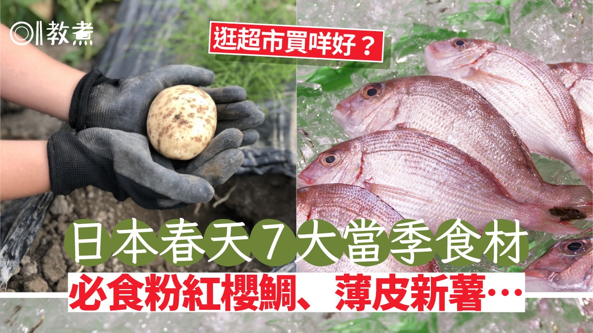 買日本食材貼士|春天7大海鮮蔬果當造 勿錯過超肥鯛魚減辣洋蔥 買日本食材貼士|春天7大海鮮蔬果當造 勿錯過超肥鯛魚減辣洋蔥