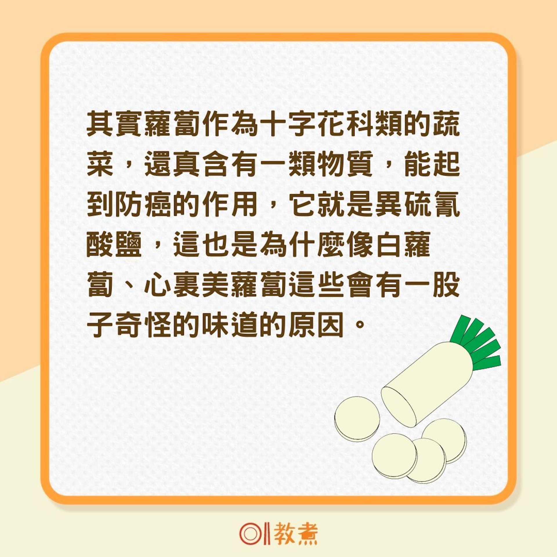 白蘿蔔冷知識(01製圖) 白蘿蔔冷知識(01製圖)