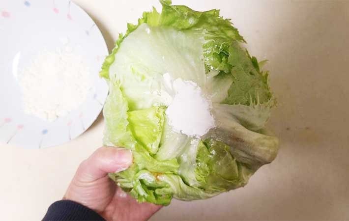 在菜芯上塗麵粉，吸收滲出的水氣。（圖片︰日本 grape）