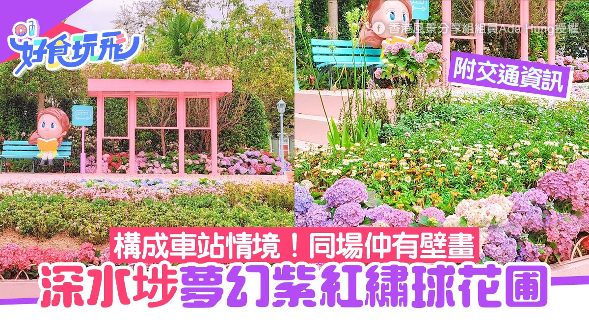 香港繡球花|深水埗夢幻紫紅繡球花圃!構成車站情境 更設有壁畫 香港繡球花|深水埗夢幻紫紅繡球花圃!構成車站情境 更設有壁畫