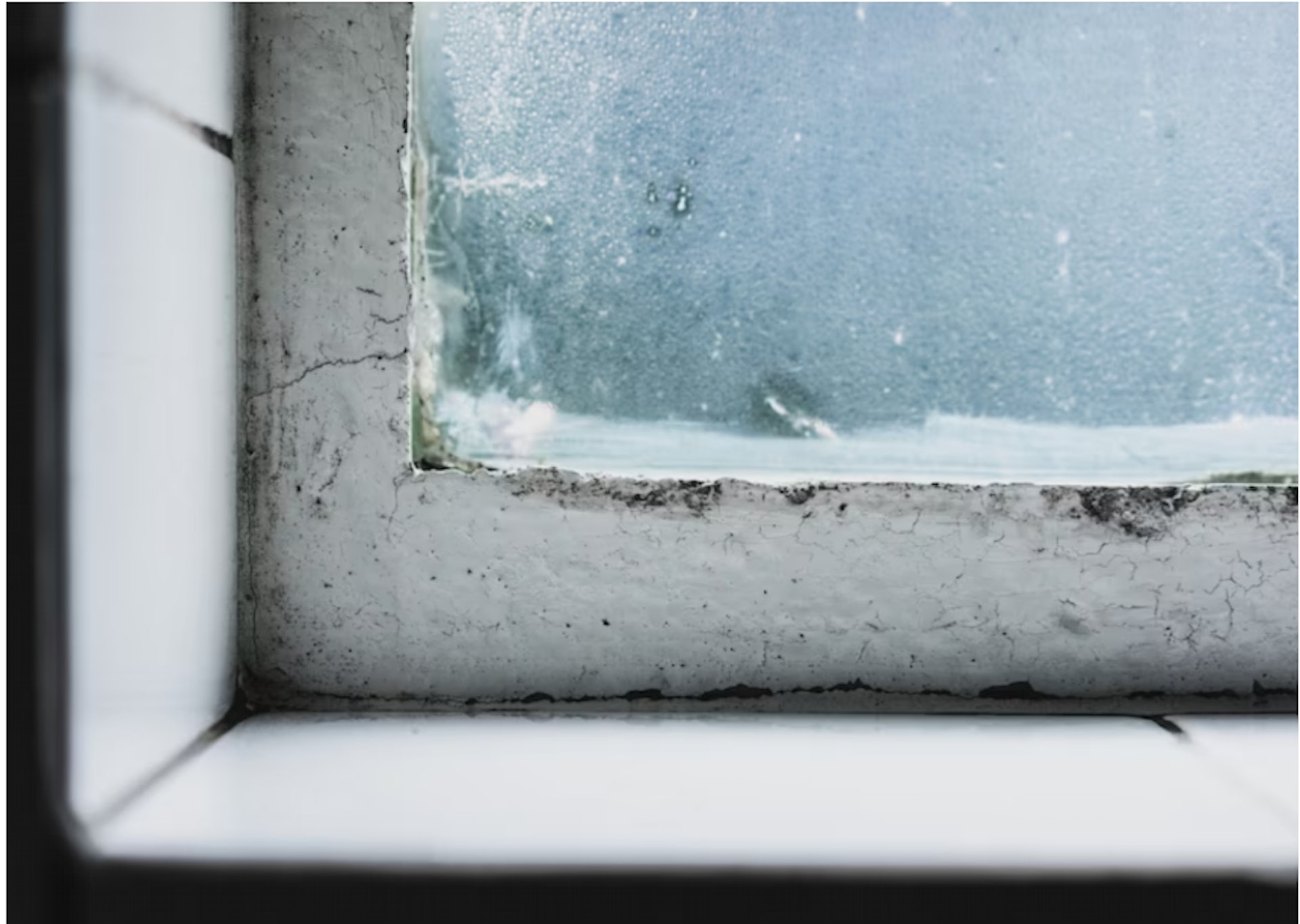 牆體黴菌隨空氣流動時,會被人體直接吸入,引發引發頭疼、發燒、皮膚或黏膜發炎等病徵。(裝修佬提供) 牆體黴菌隨空氣流動時,會被人體直接吸入,引發引發頭疼、發燒、皮膚或黏膜發炎等病徵。(裝修佬提供)