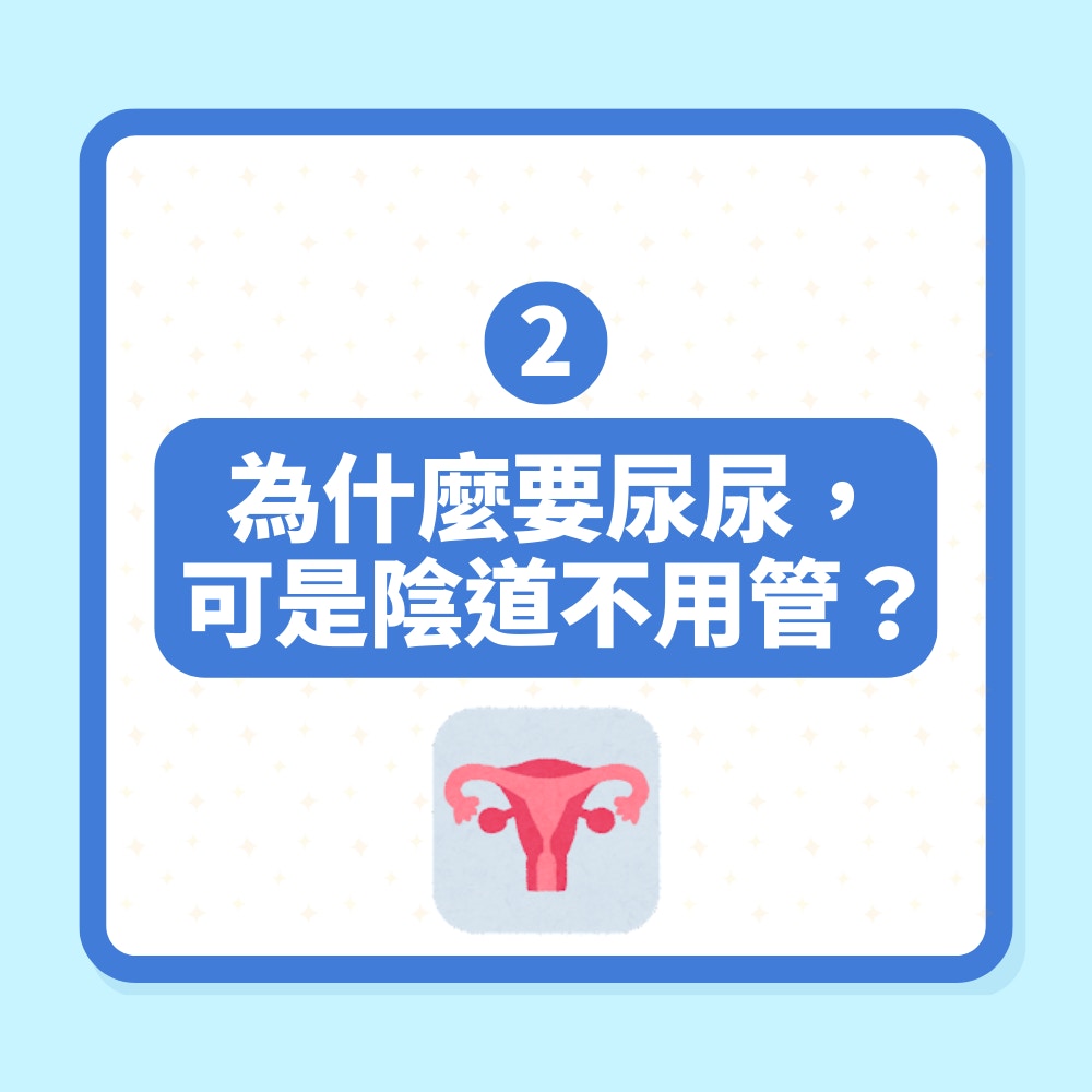 丁丁進入陰道「不可能真的對準」！性學博士勸愛後必做一件事自保（01製圖）