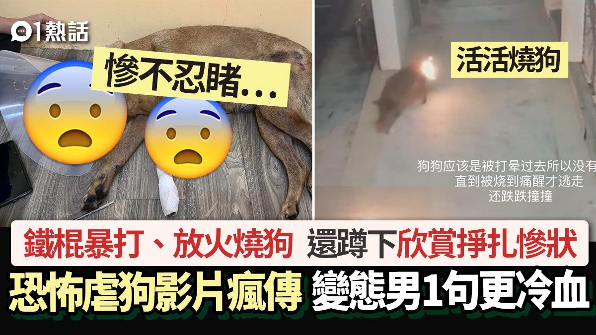 恐怖虐狗影片瘋傳!男子棍毆再放火燒狗 還欣賞慘狀 1句更冷血 恐怖虐狗影片瘋傳!男子棍毆再放火燒狗 還欣賞慘狀 1句更冷血