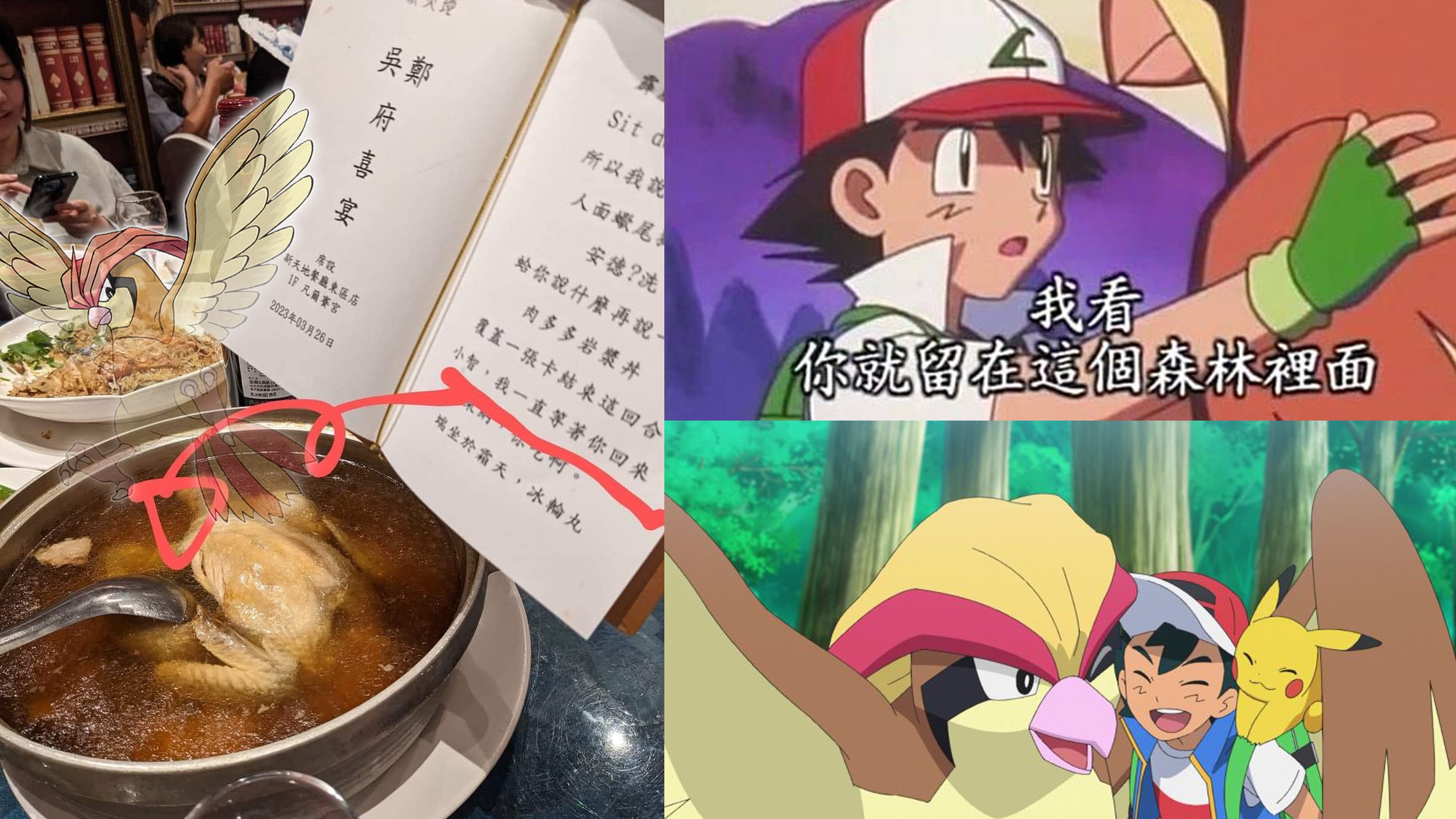 圖中大比鳥為記者後製上去。