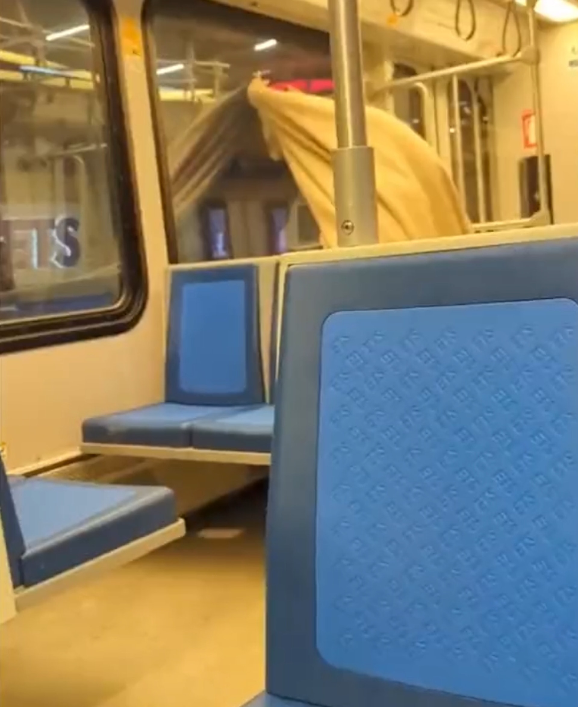 加拿大輕軌列車上演活春宮,一對男女在眾目睽睽之下全裸做愛,僅用一條毯子遮掩,以為沒人看見,實際上因為窗戶反射,從後方根本看得一清二楚,且當時車廂內還有小孩,令乘客相當傻眼,後來兩人都在列車靠站時被警察帶走。(Twitter@WSOnlineNews) 加拿大輕軌列車上演活春宮,一對男女在眾目睽睽之下全裸做愛,僅用一條毯子遮掩,以為沒人看見,實際上因為窗戶反射,從後方根本看得一清二楚,且當時車廂內還有小孩,令乘客相當傻眼,後來兩人都在列車靠站時被警察帶走。(Twitter@WSOnlineNews)