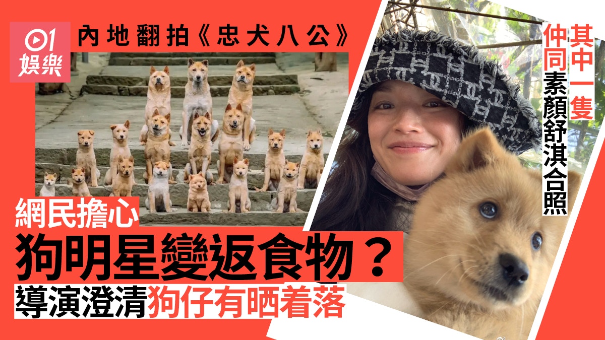 忠犬八公︱主角「八筒」曾驚傳去向成謎 與舒淇合照證沒變回食物